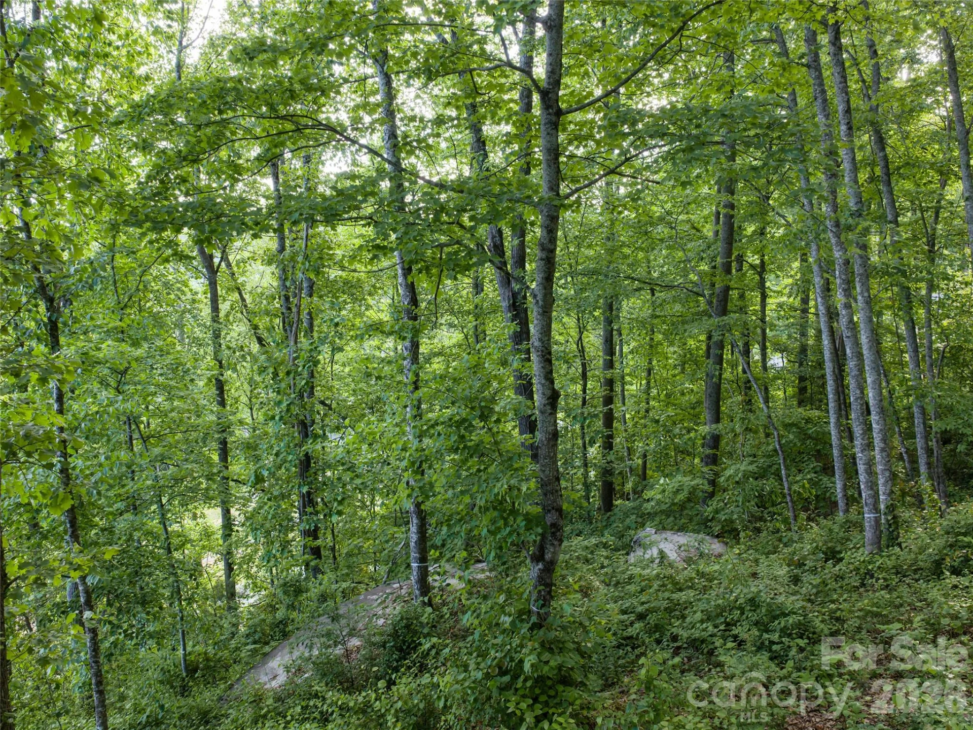 000 New Sprout Lane #2 - Photo 28