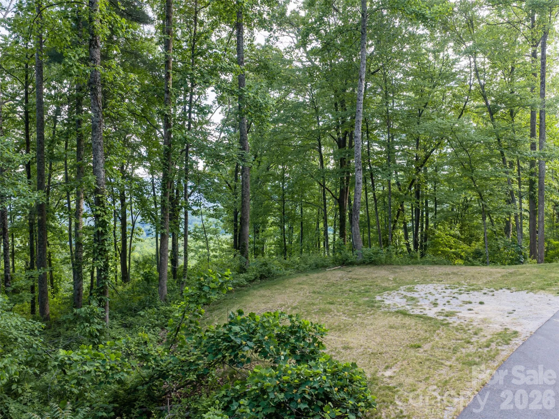 000 New Sprout Lane #2 - Photo 29