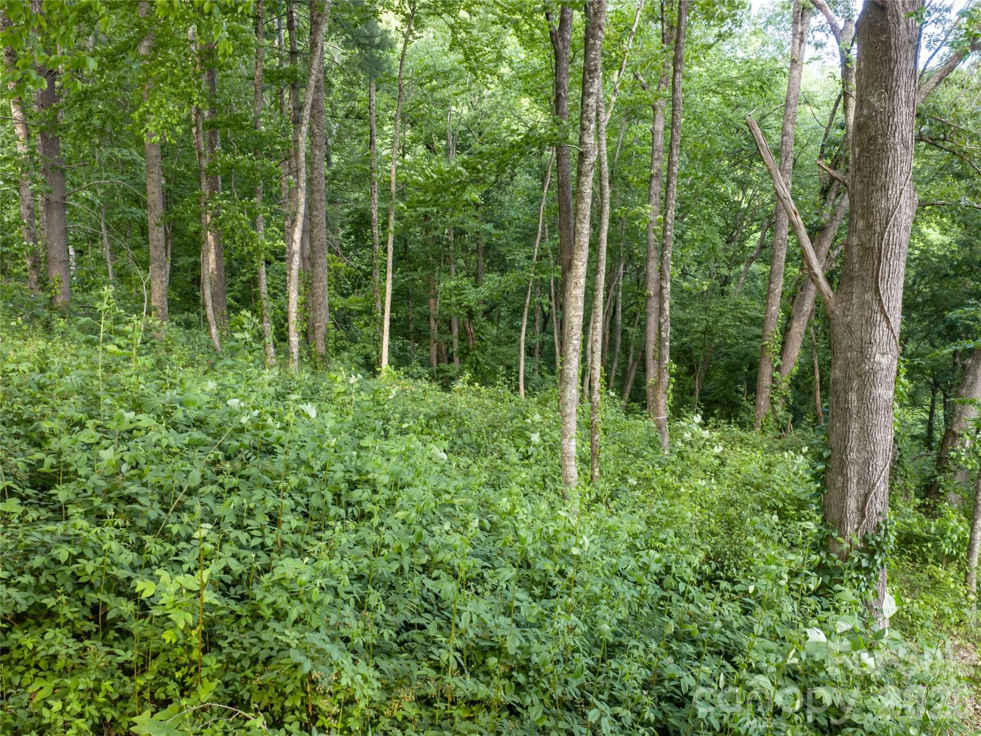 000 New Sprout Lane #2 - Photo 8