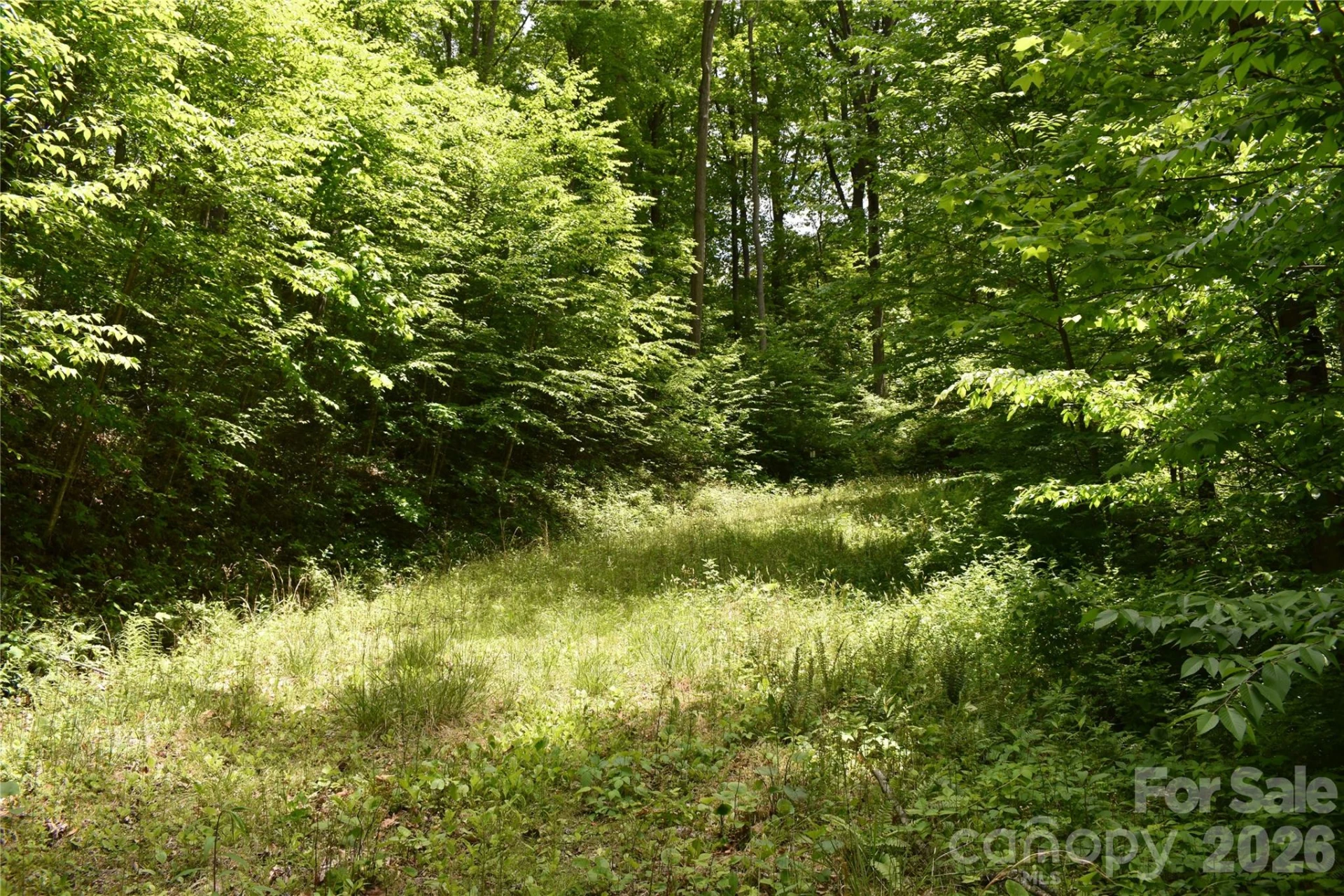 Lot 18 Covered Bridge Trail #18 - Photo 3
