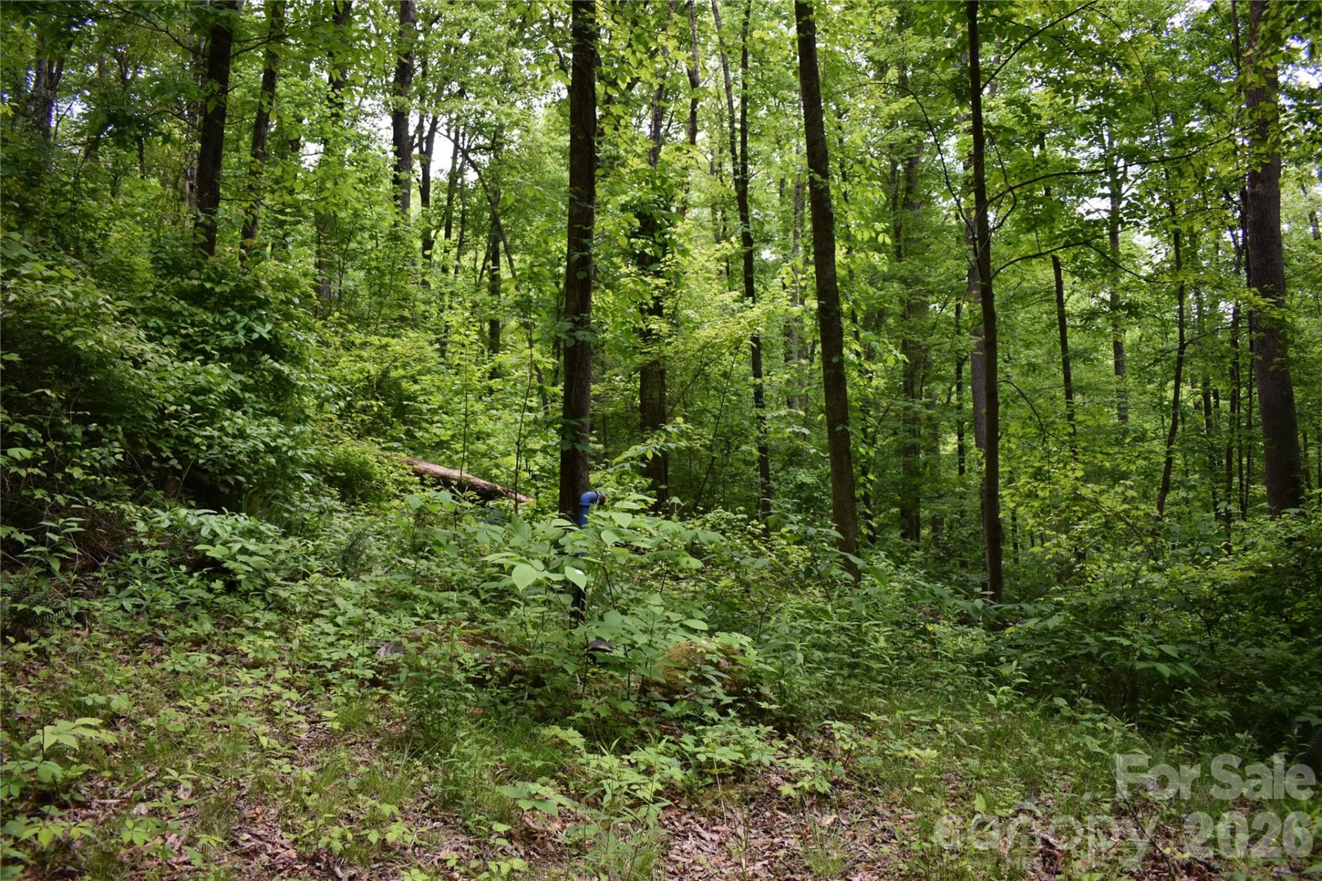 Lot 18 Covered Bridge Trail #18 - Photo 5