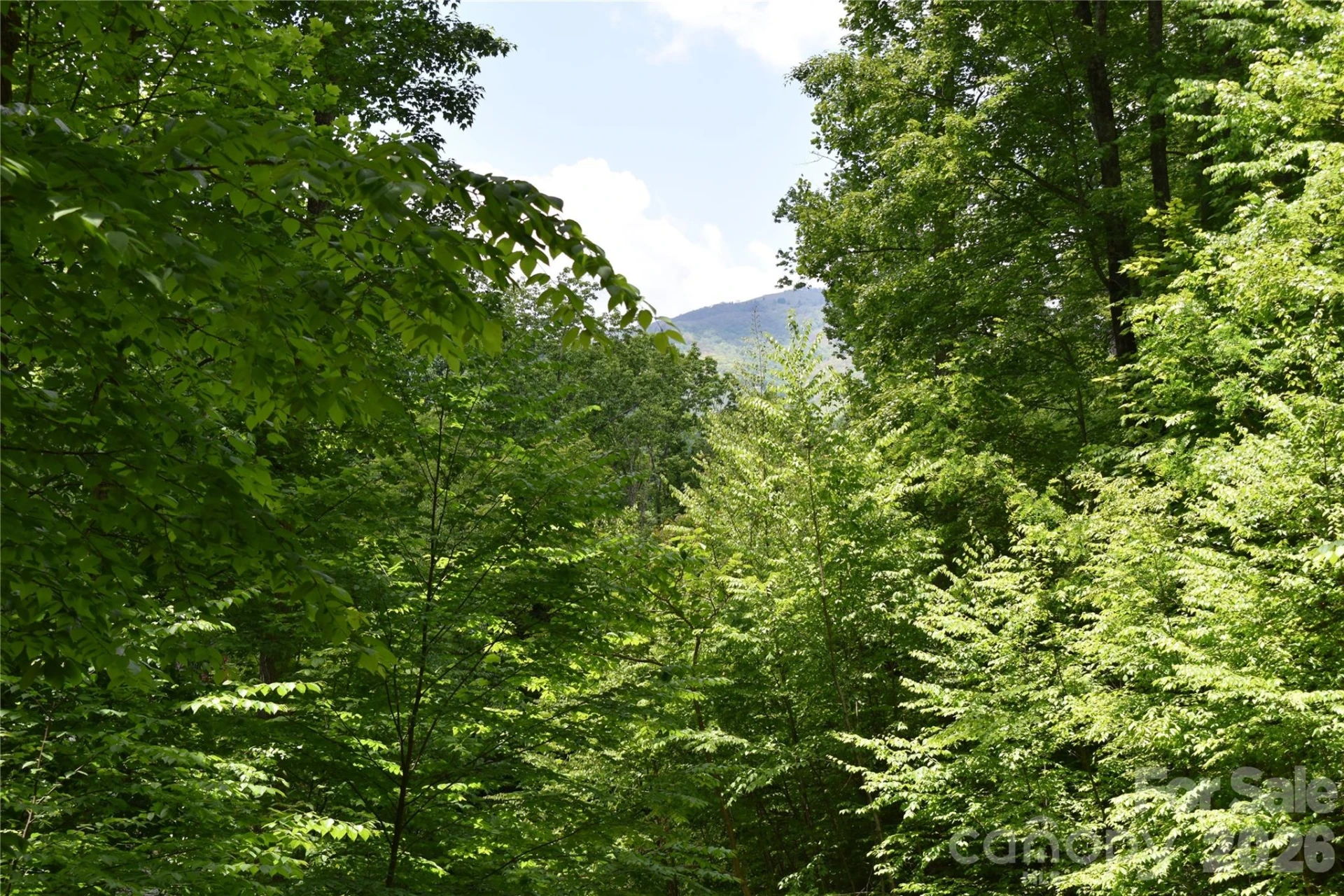 Lot 18 Covered Bridge Trail #18 - Photo 6