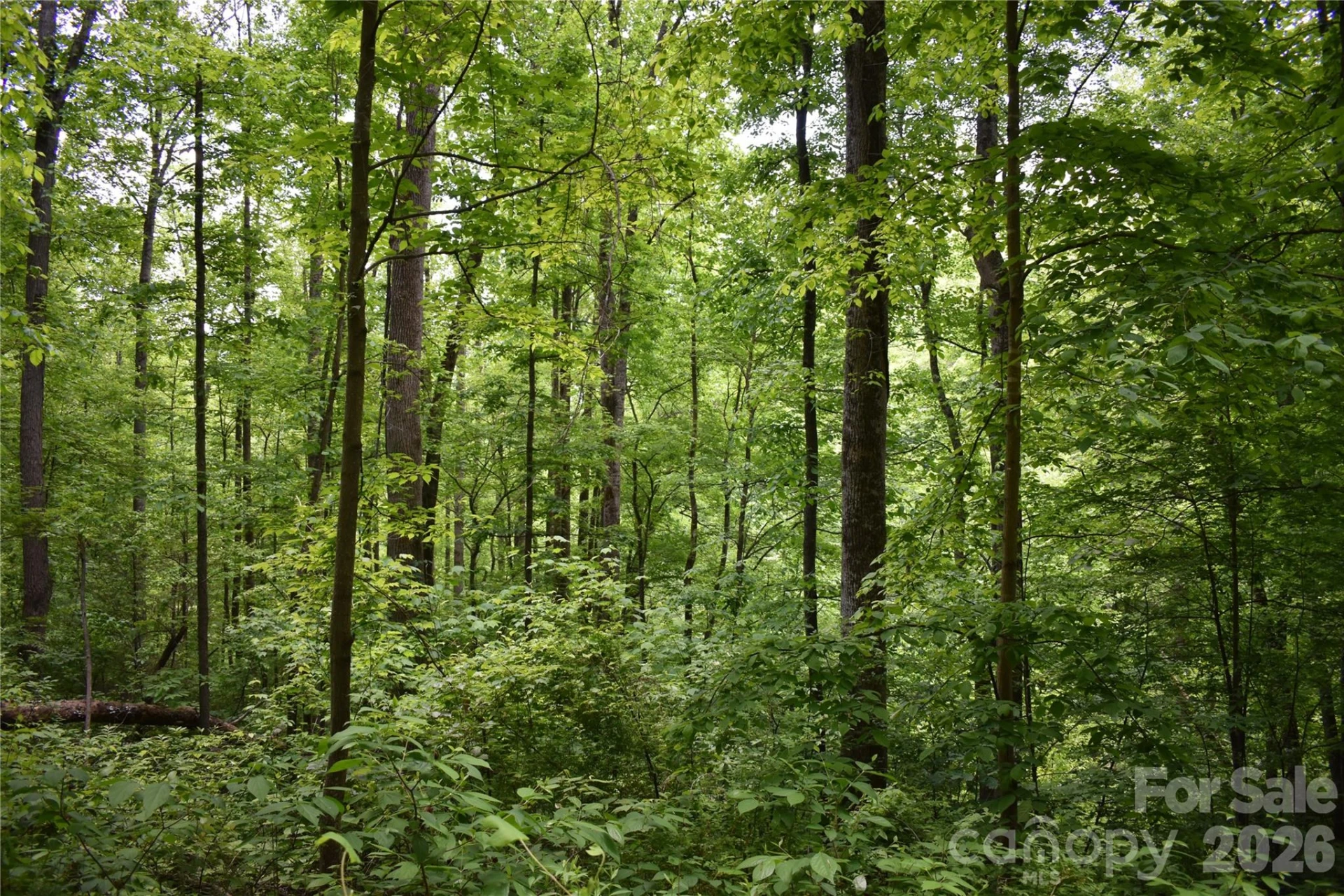 Lot 18 Covered Bridge Trail #18 - Photo 7