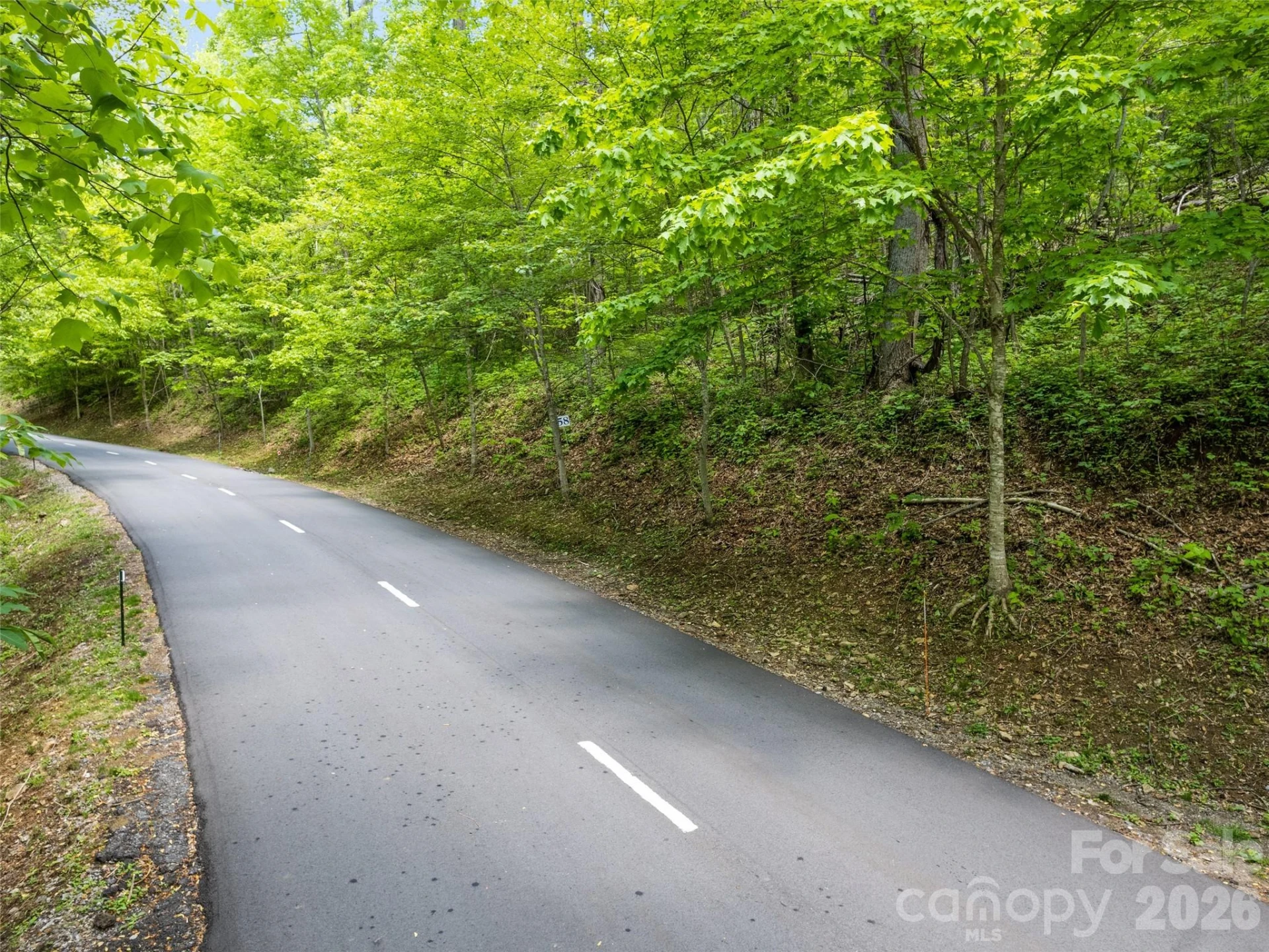 0000 Presidential Drive - Photo 2