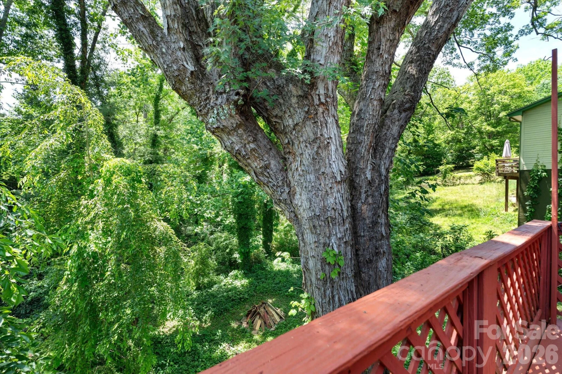 224 Aurora Drive - Photo 14
