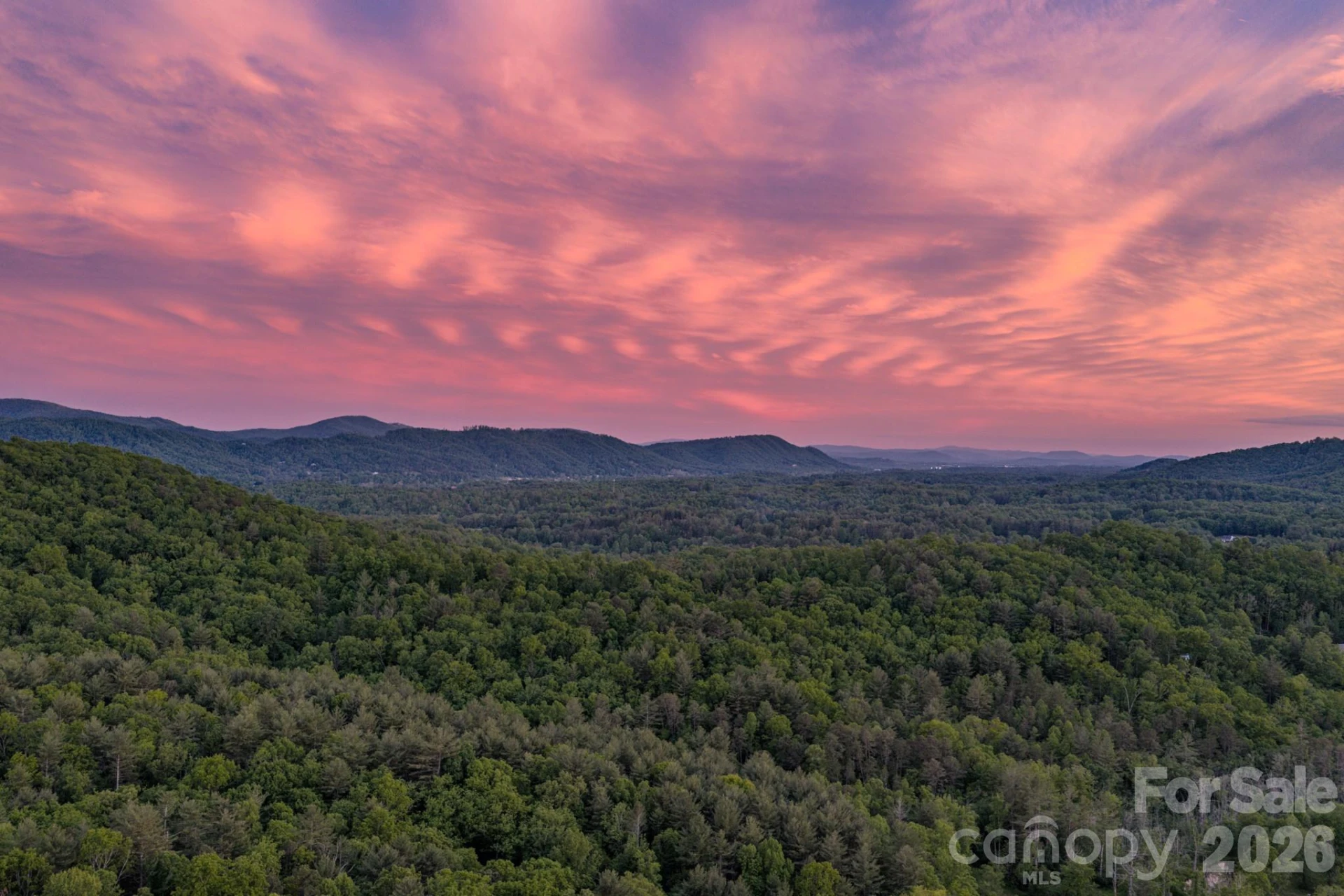 75 Old Gap Creek Road - Photo 41