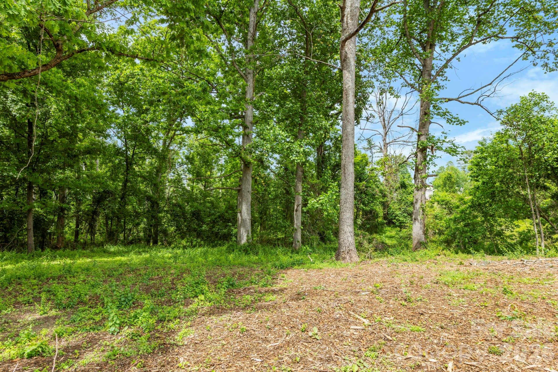 99999 Wild Goose Way #2R - Photo 5