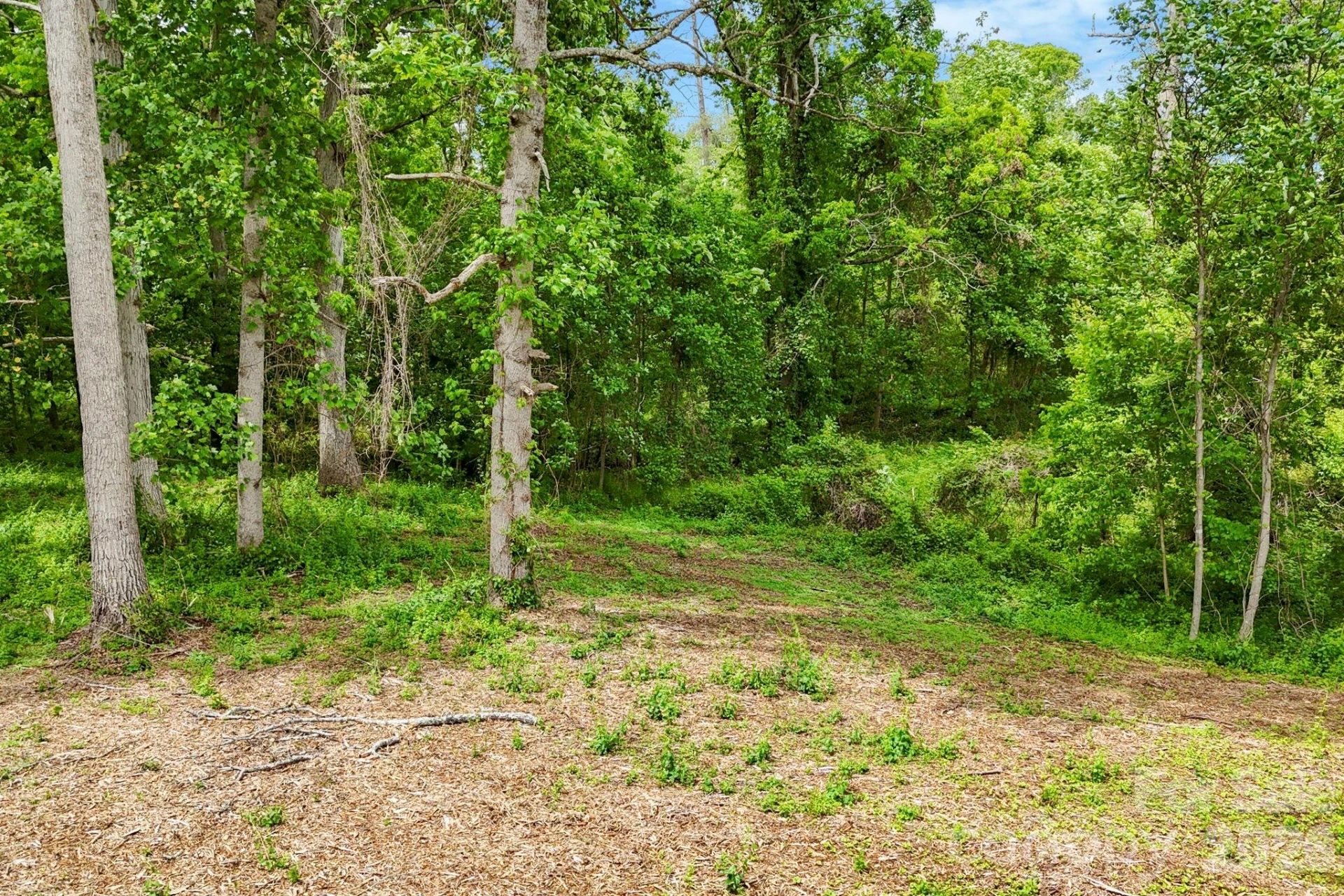 99999 Wild Goose Way #2R - Photo 6