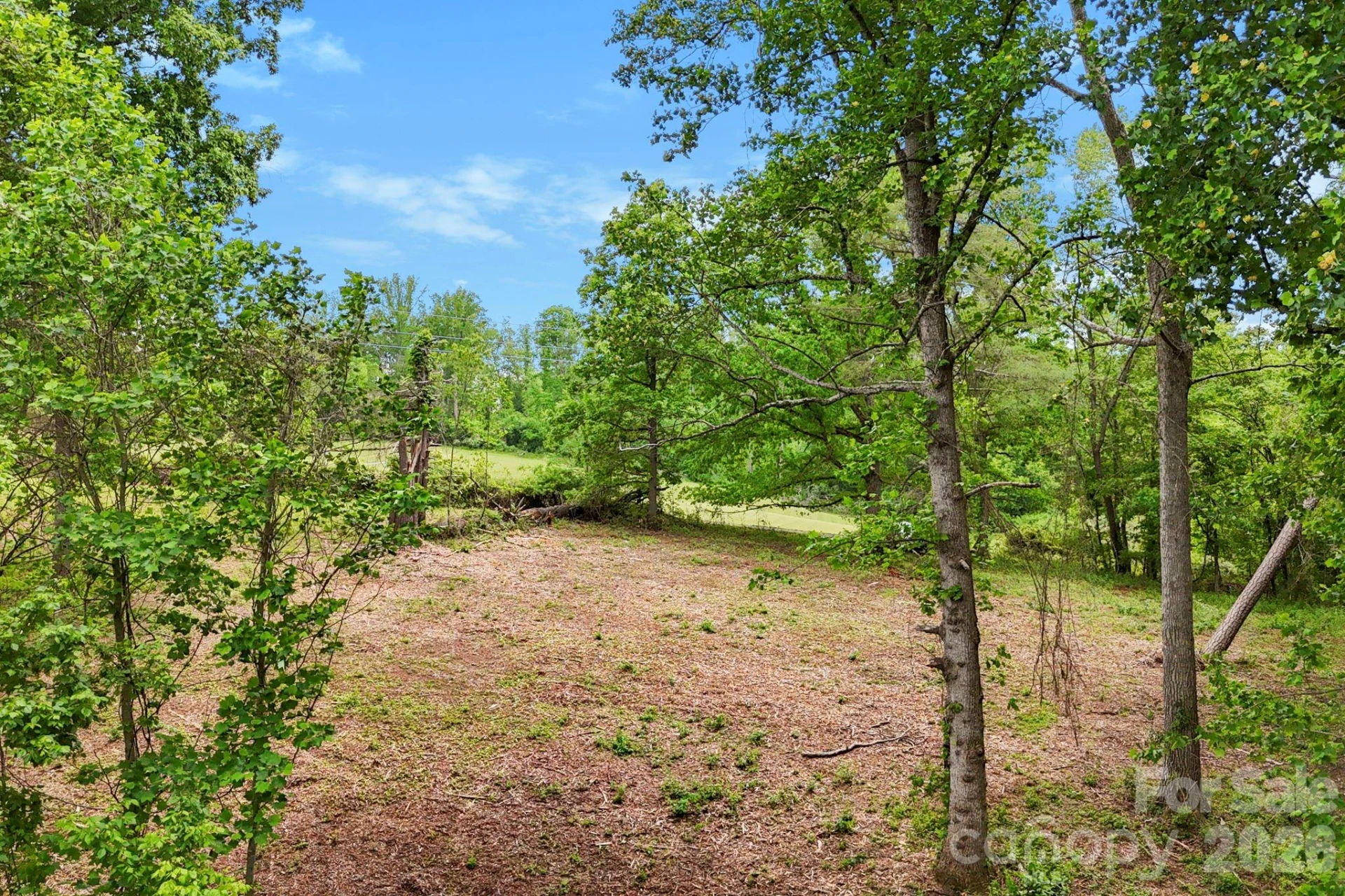 99999 Wild Goose Way #2R - Photo 8