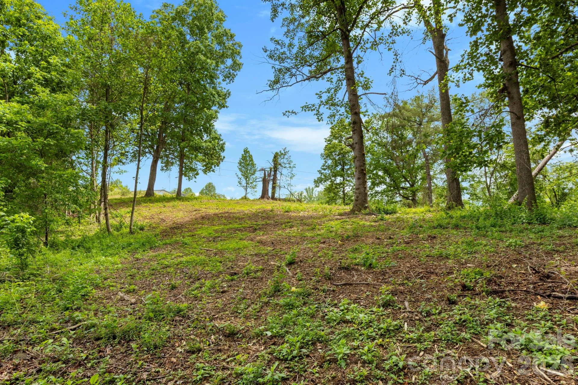 99999 Wild Goose Way #2R - Photo 9