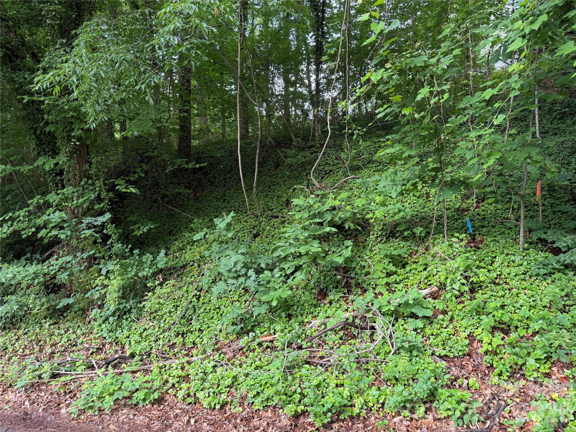 89 Iris Street - Photo 3