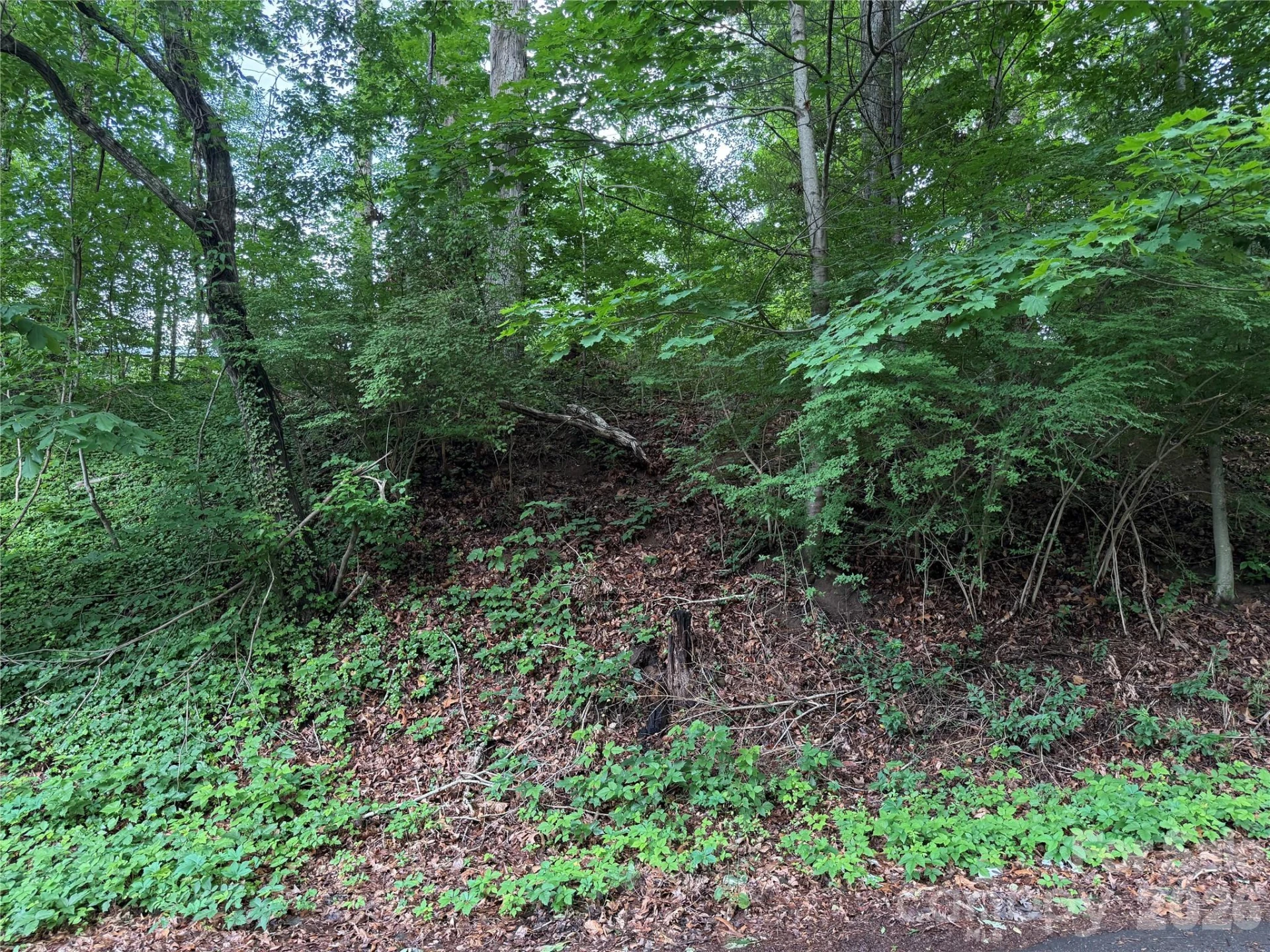 87 Iris Street - Photo 2