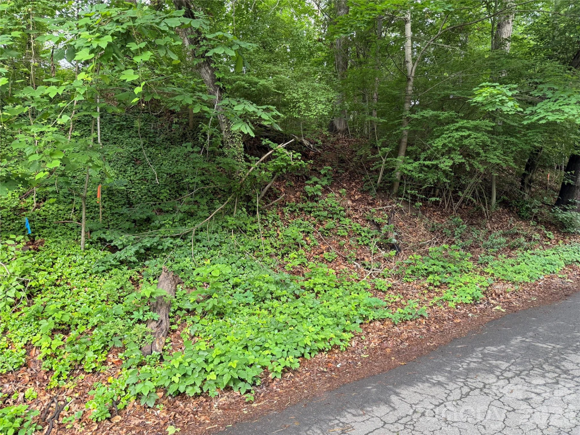 87 Iris Street - Photo 3