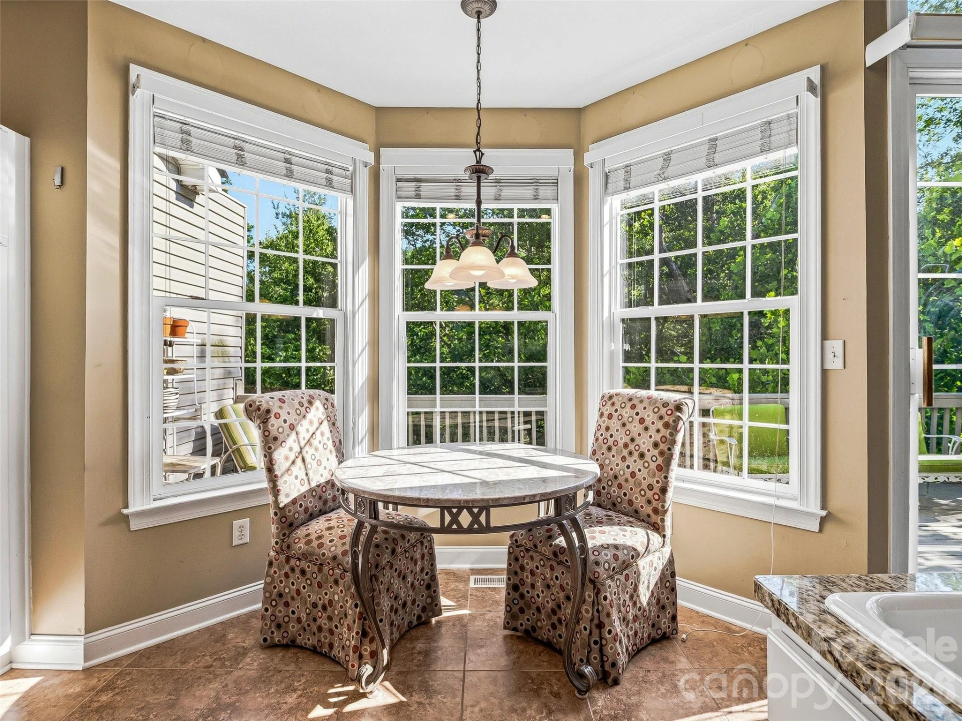 117 Hibiscus Lane - Photo 12