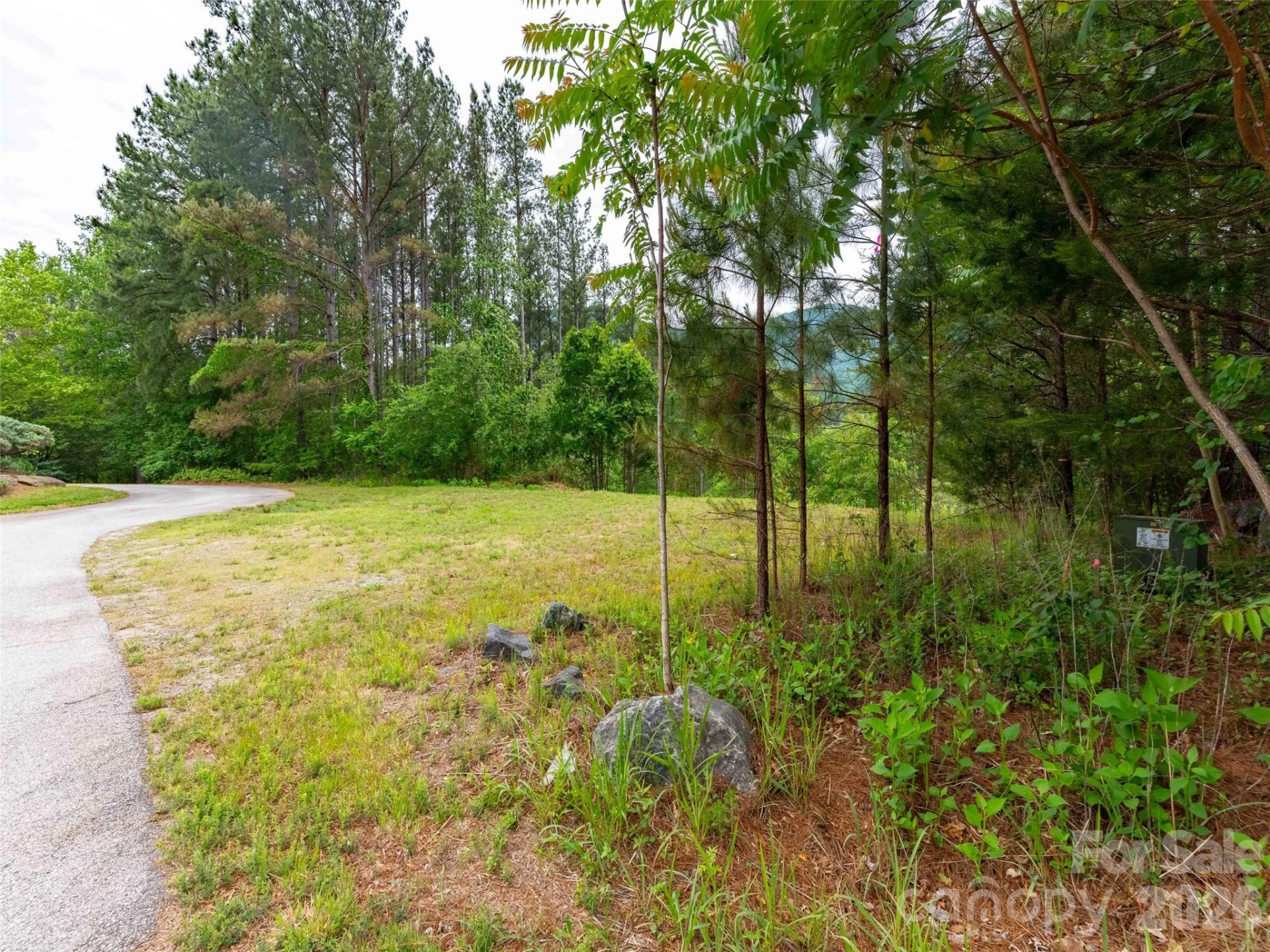Lot 73 Chestertown Drive #73 - Photo 2