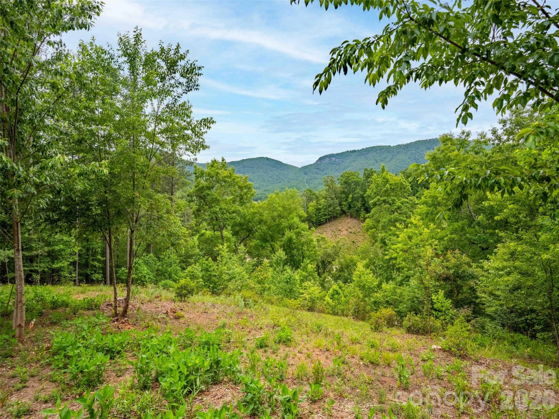 Lot 73 Chestertown Drive #73 - Photo 4