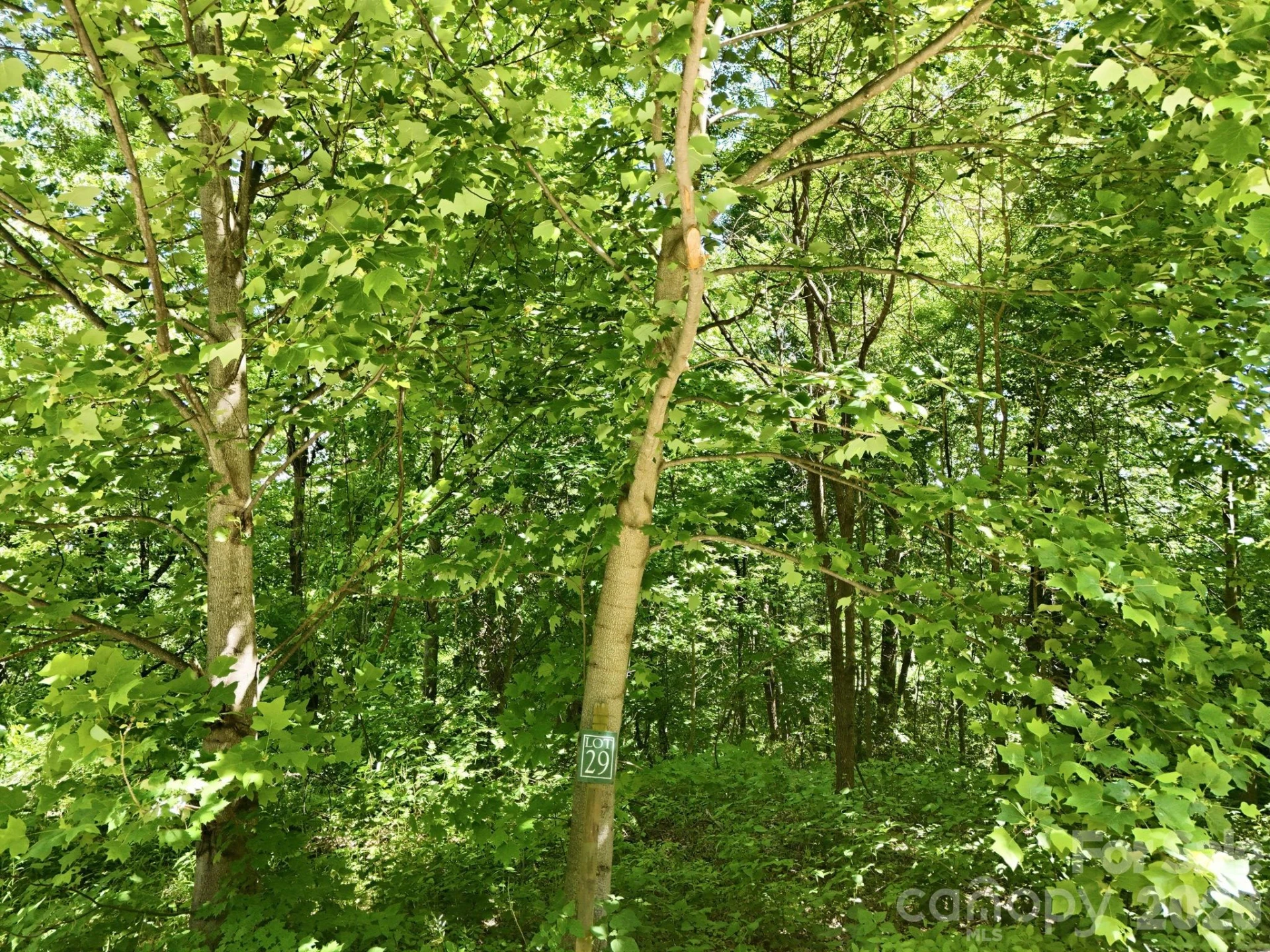 99999 Cliffledge Trail - Photo 11