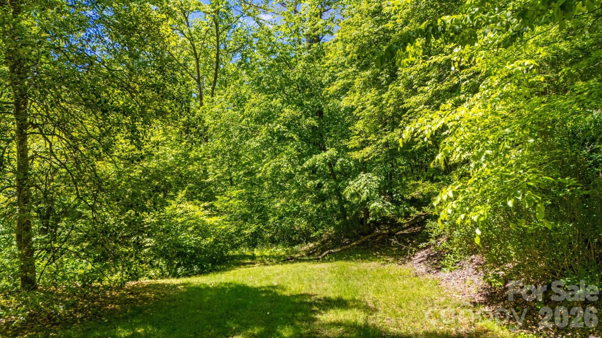 1111 Ammons Branch Road - Photo 33