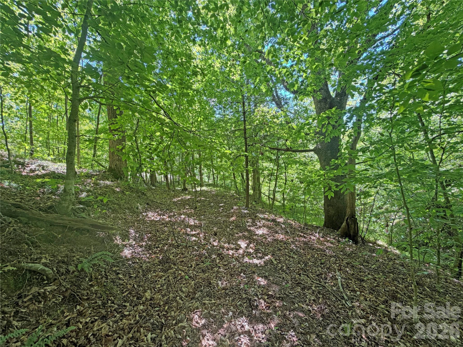 1111 Ammons Branch Road - Photo 34