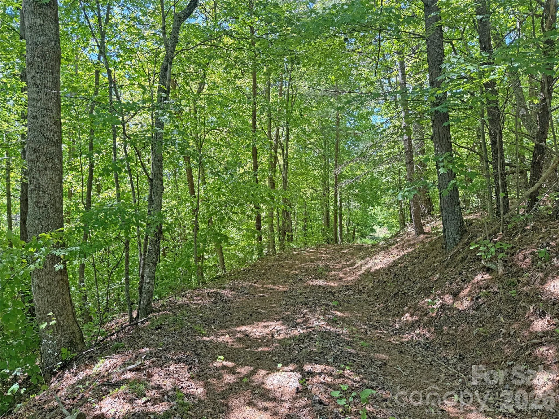 1111 Ammons Branch Road - Photo 35