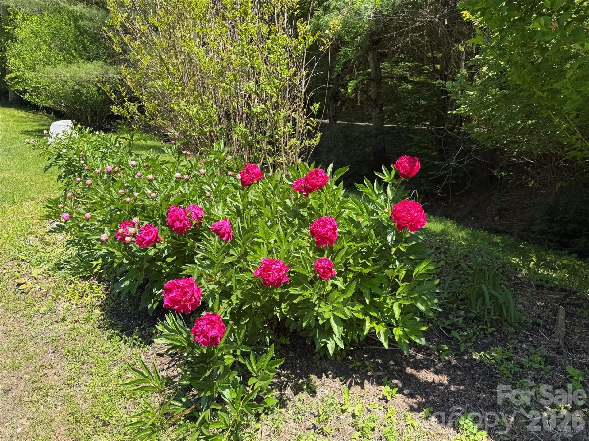 1111 Ammons Branch Road - Photo 37