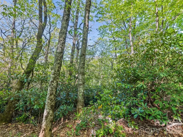 #19 Sleepy Hollow Lane, Waynesville, NC, 28786