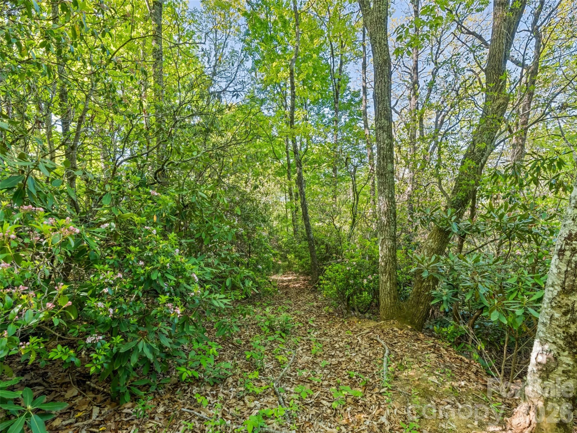 #19 Sleepy Hollow Lane - Photo 2