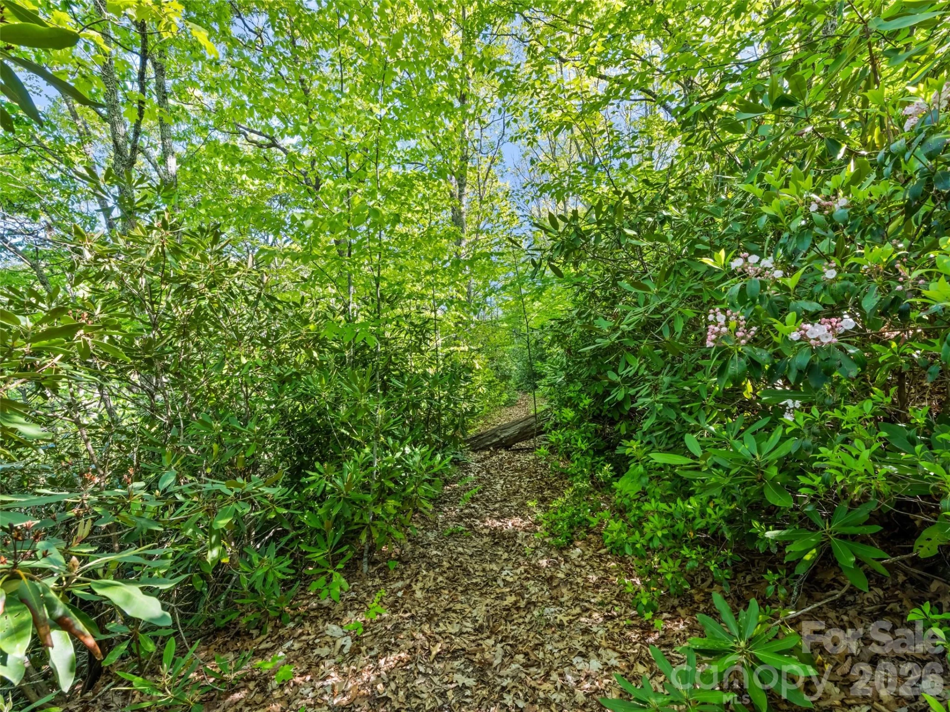 #19 Sleepy Hollow Lane - Photo 3