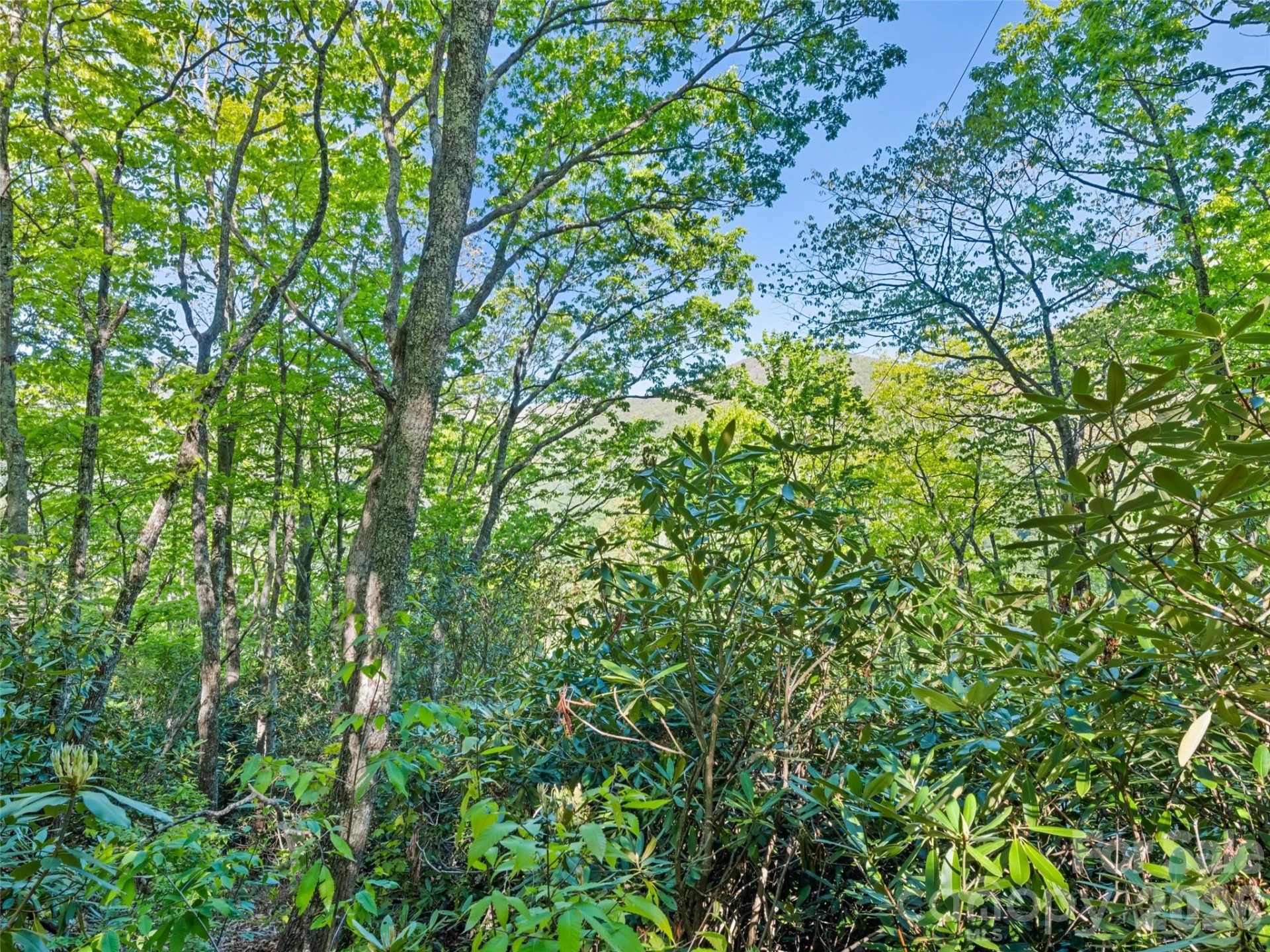 #19 Sleepy Hollow Lane - Photo 5
