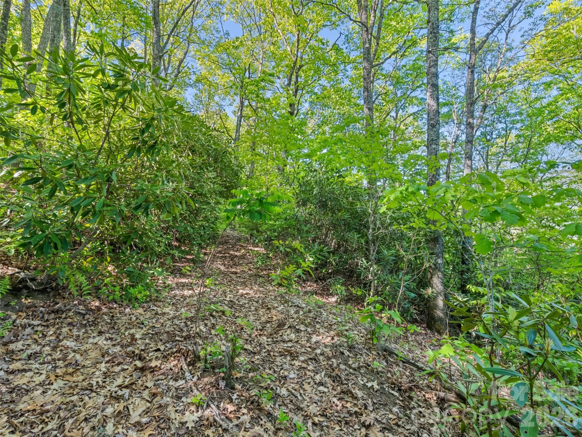 #19 Sleepy Hollow Lane - Photo 6