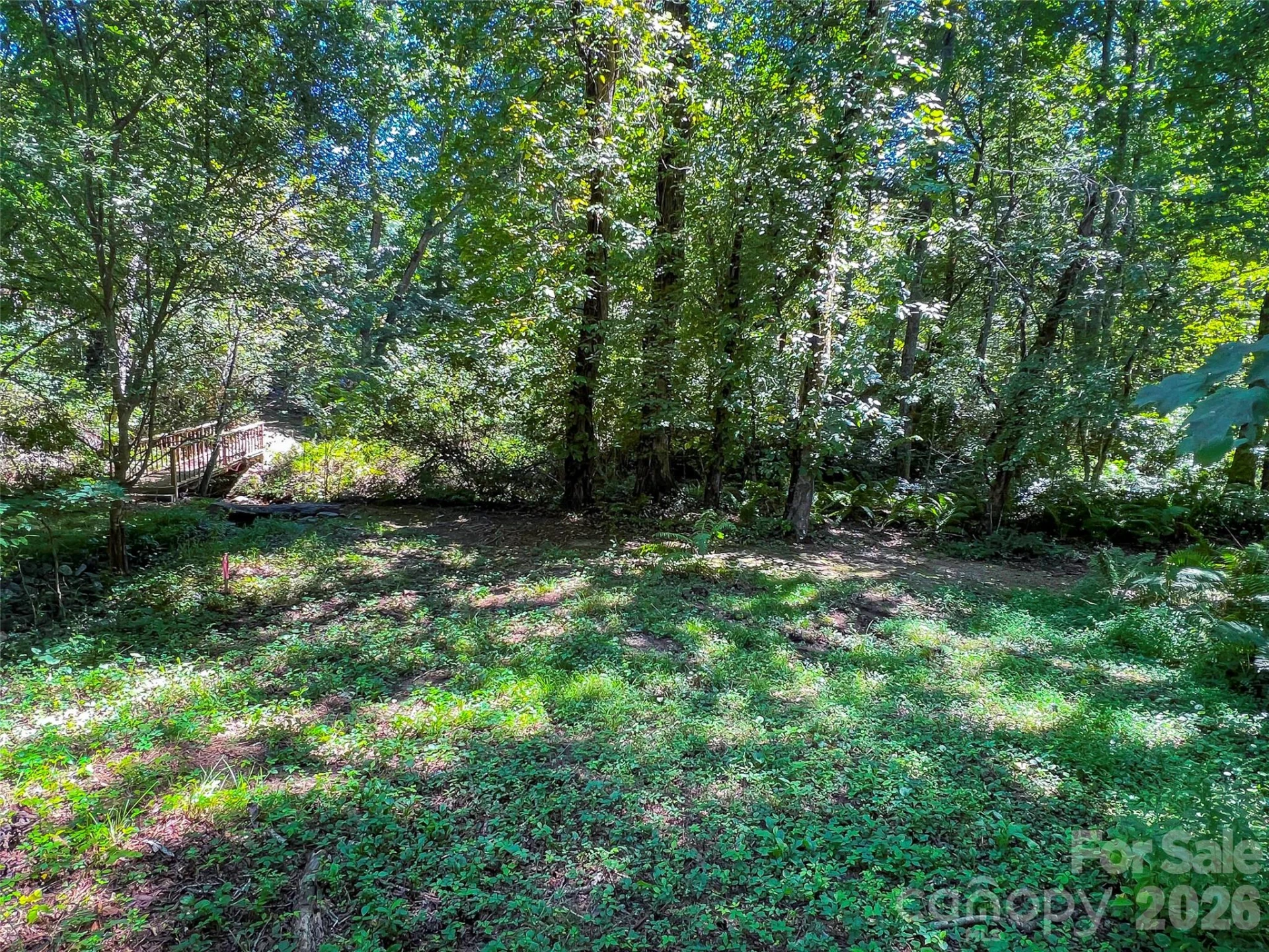 19 Mountain Orchid Way #77 - Photo 11