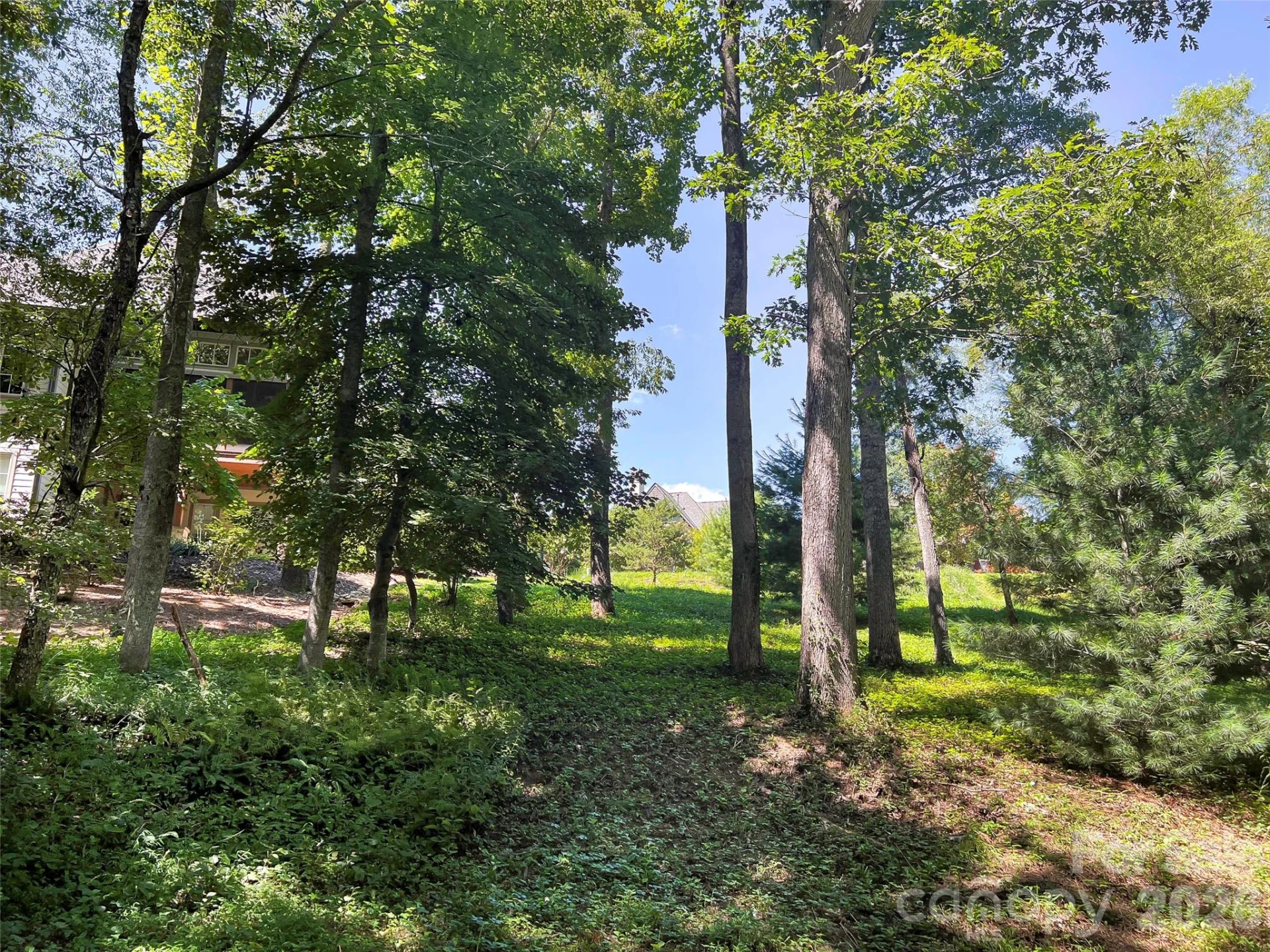 19 Mountain Orchid Way #77 - Photo 14