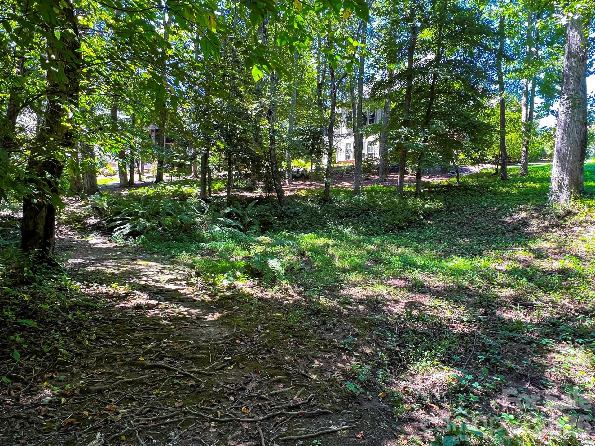 19 Mountain Orchid Way #77 - Photo 15