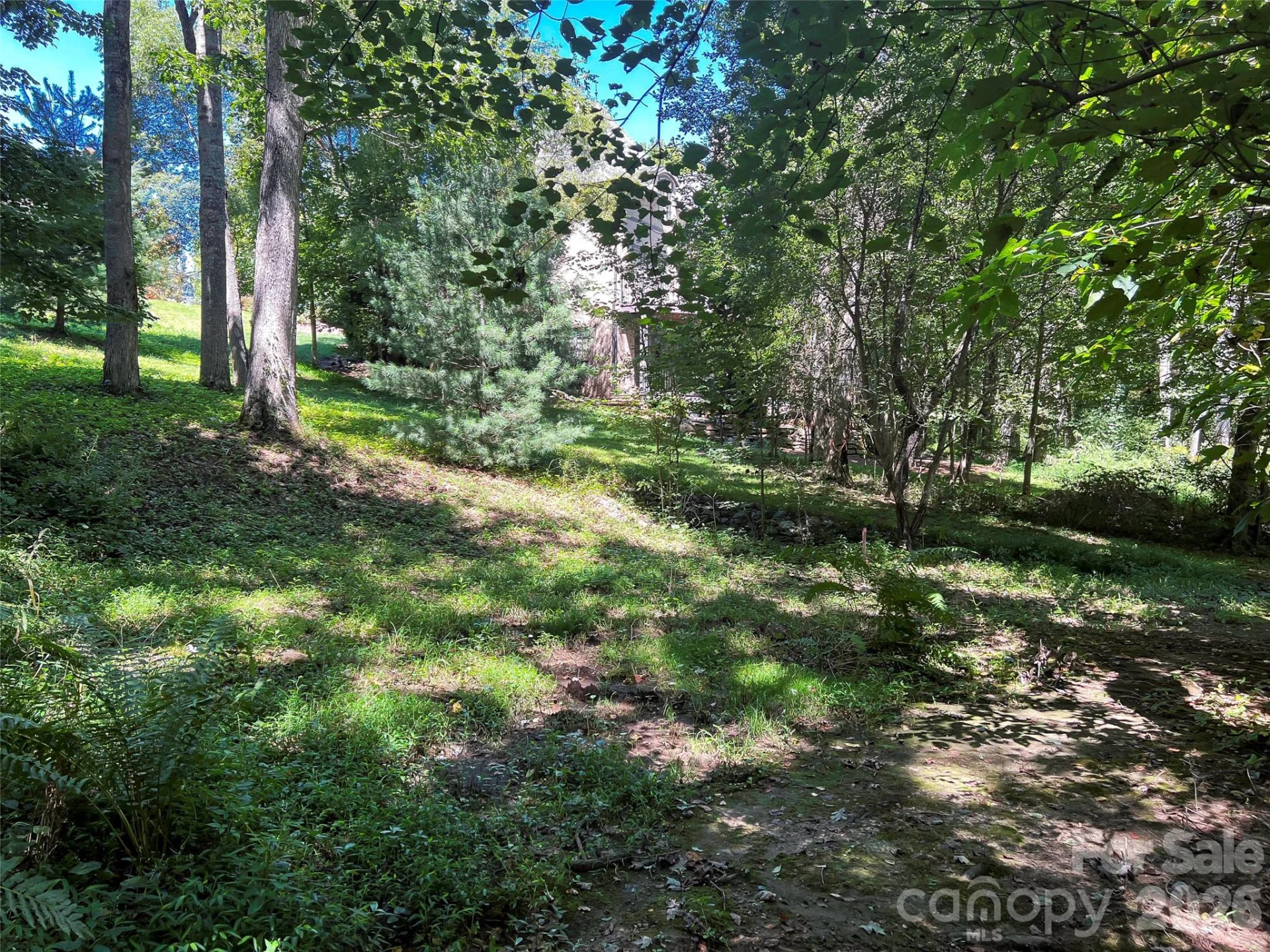 19 Mountain Orchid Way #77 - Photo 16