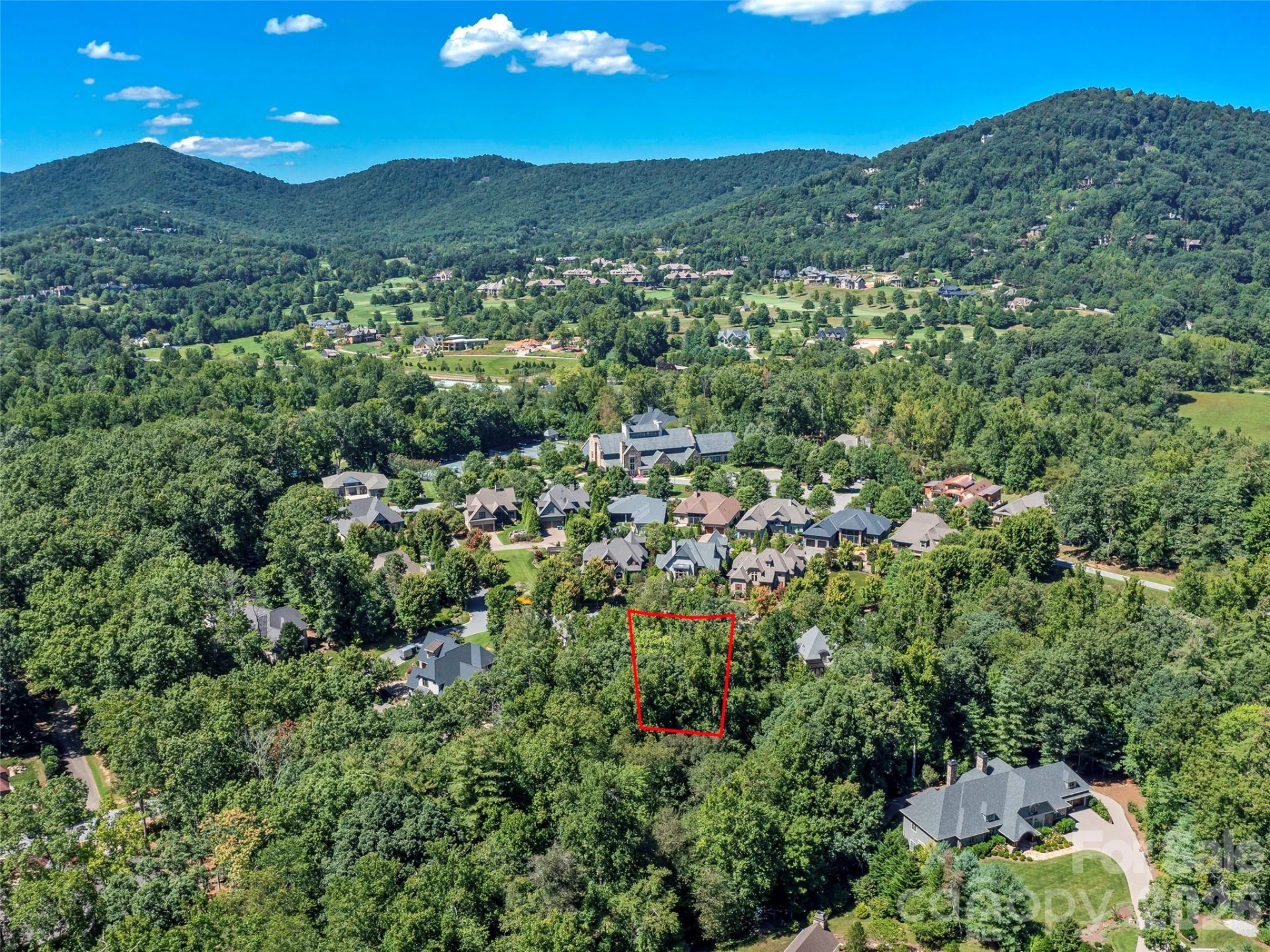 19 Mountain Orchid Way #77 - Photo 19