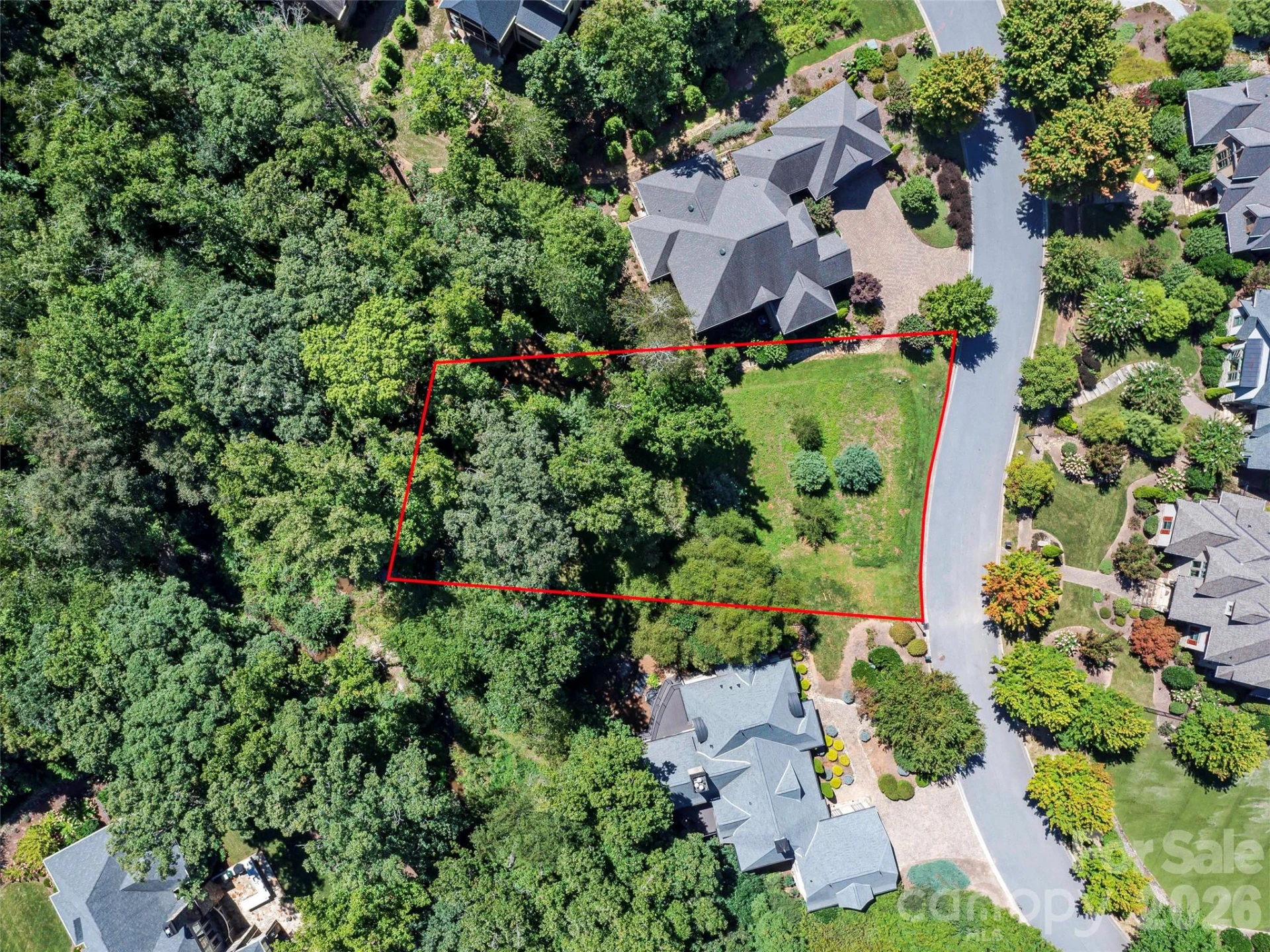 19 Mountain Orchid Way #77 - Photo 4