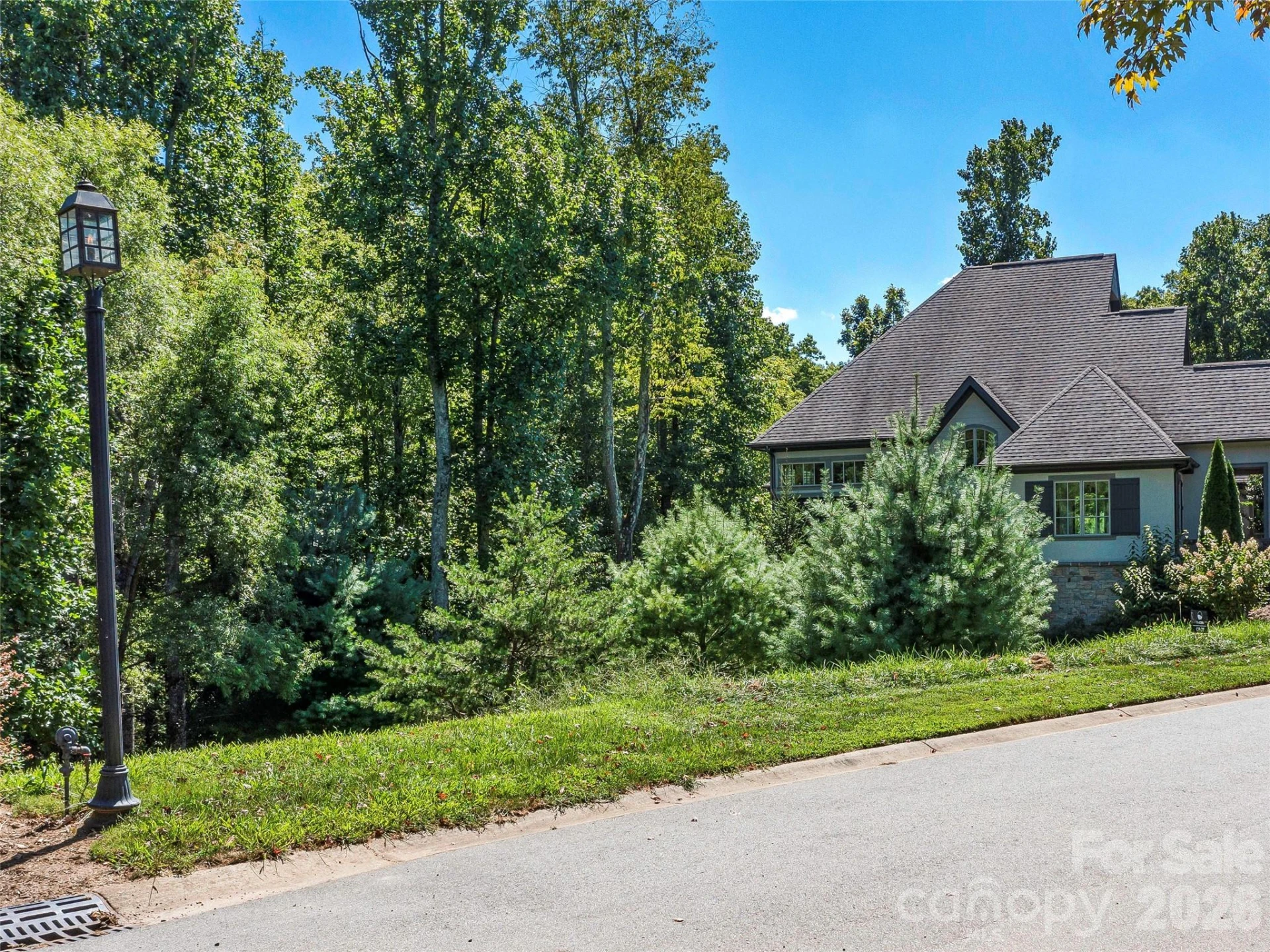 19 Mountain Orchid Way #77 - Photo 6