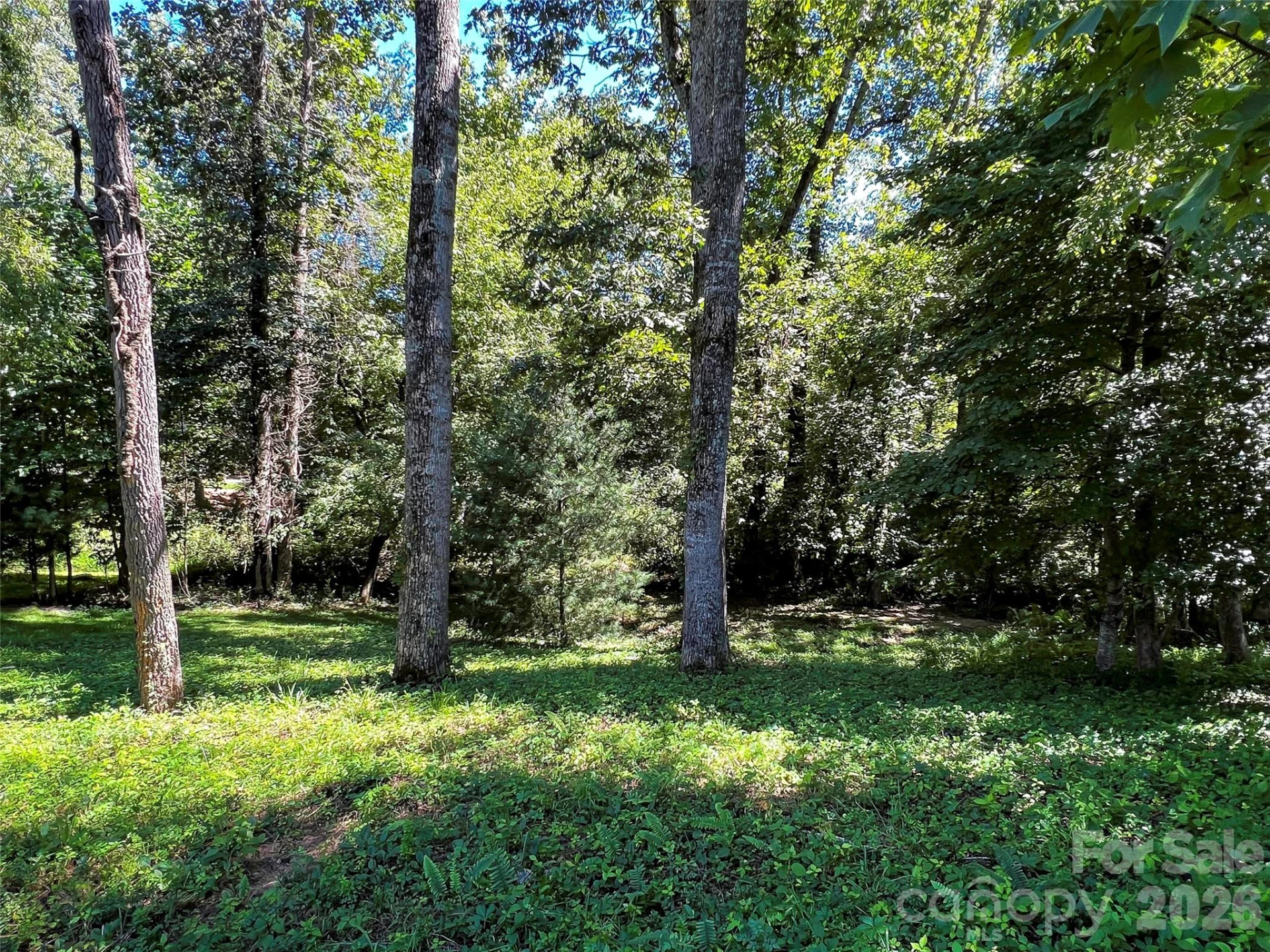 19 Mountain Orchid Way #77 - Photo 7