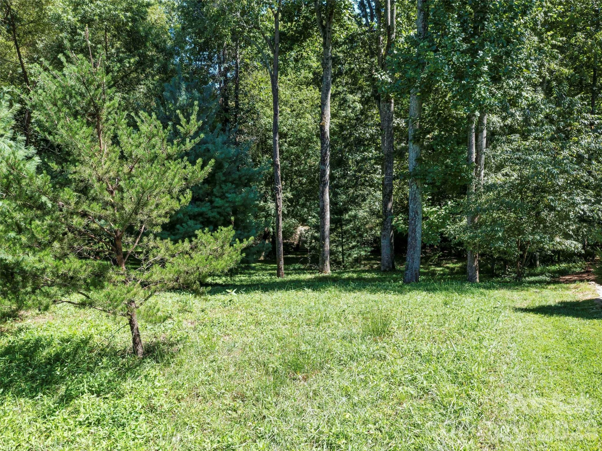 19 Mountain Orchid Way #77 - Photo 8