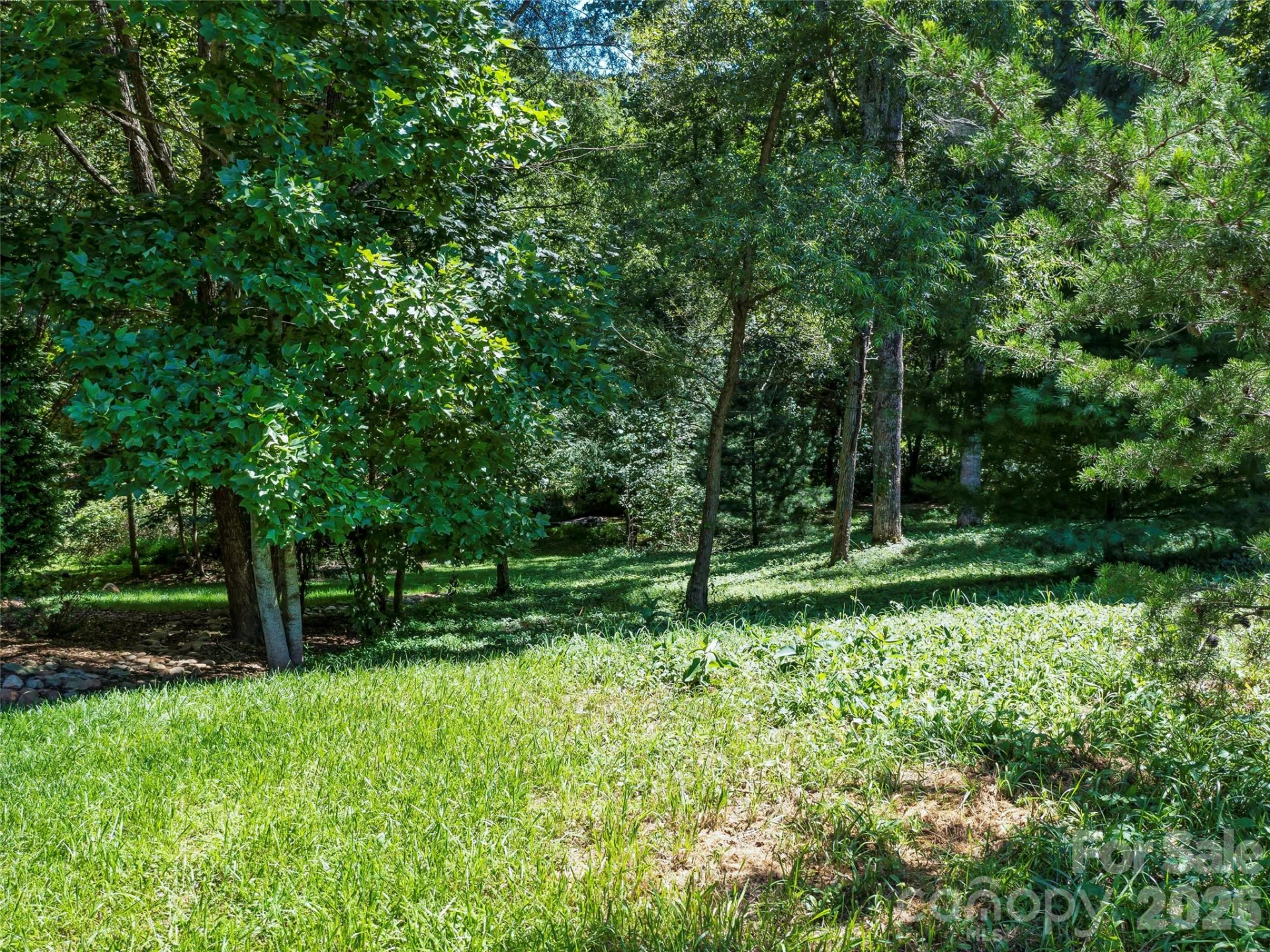 19 Mountain Orchid Way #77 - Photo 9