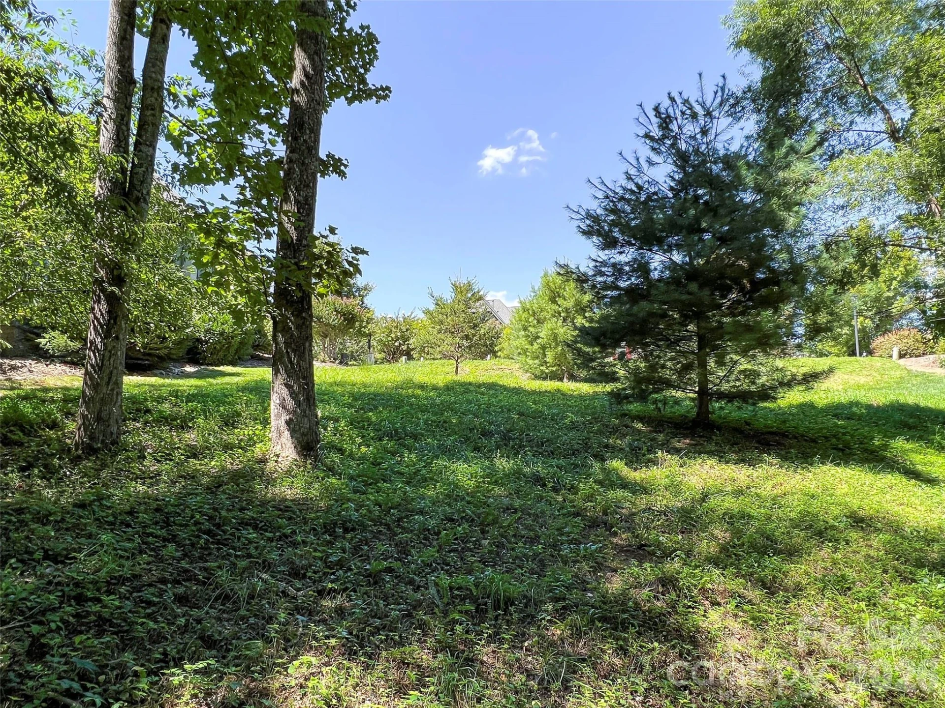 19 Mountain Orchid Way #77 - Photo 10