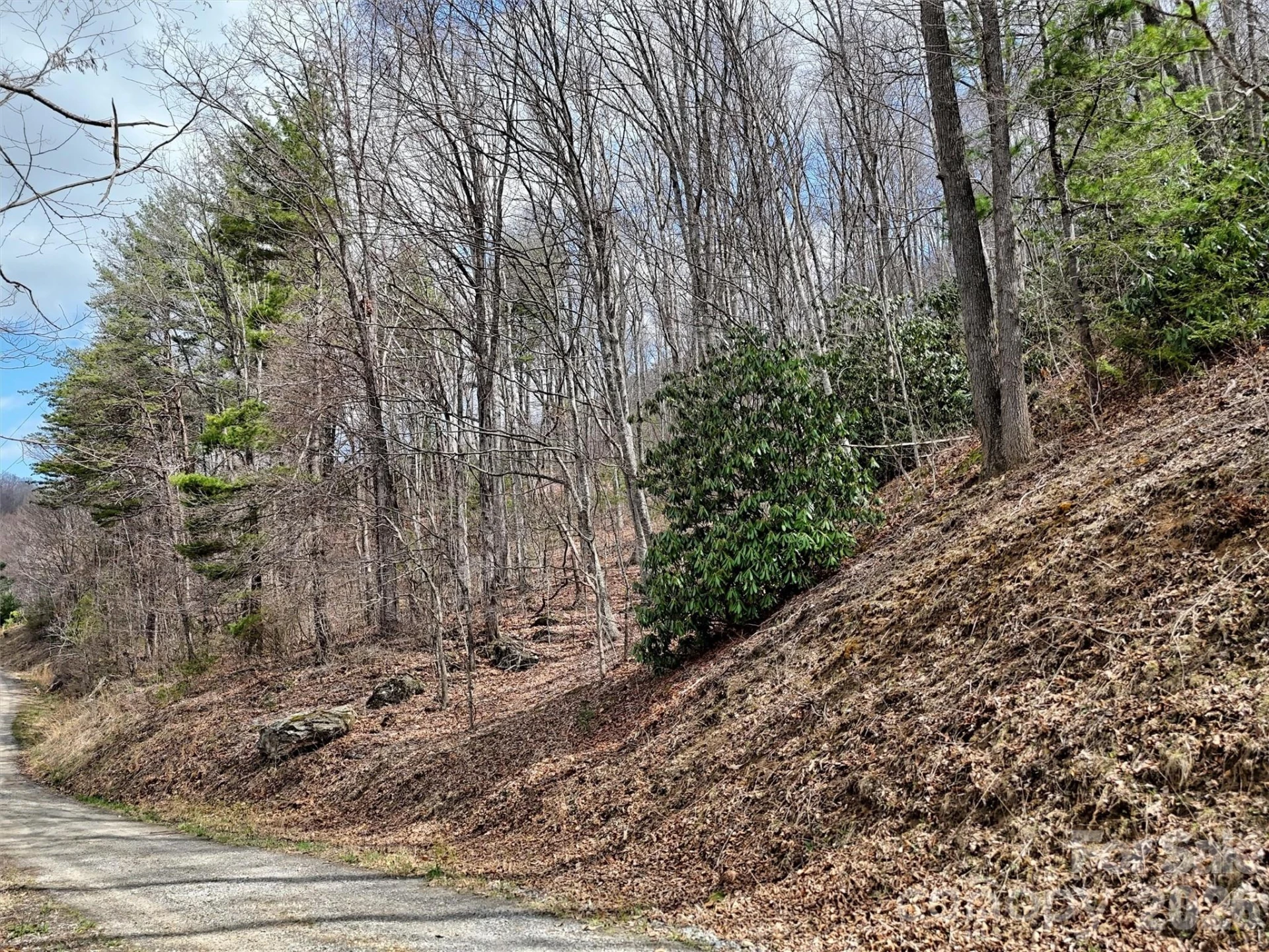 TBD Moonbeam Lane #101,102 - Photo 11