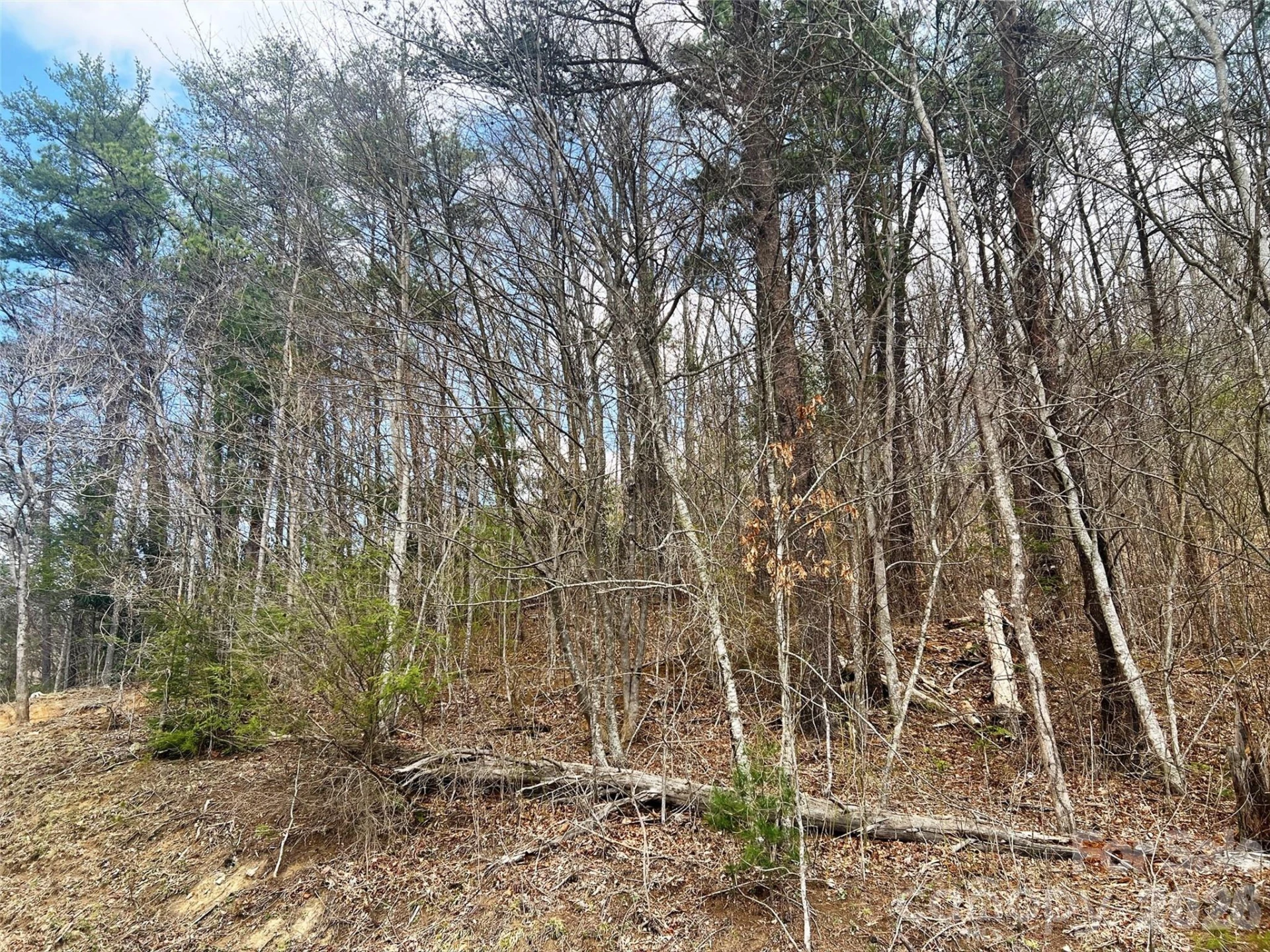 TBD Moonbeam Lane #101,102 - Photo 12