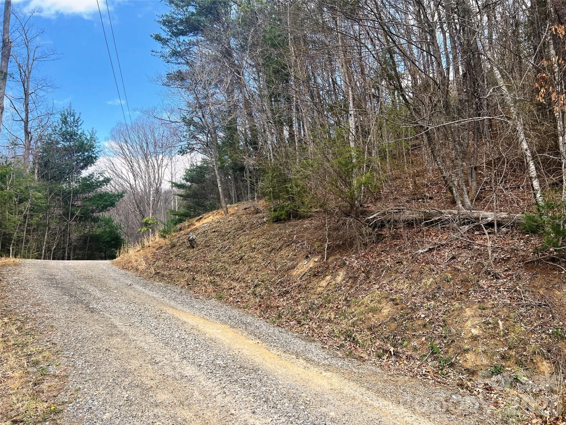 TBD Moonbeam Lane #101,102 - Photo 13
