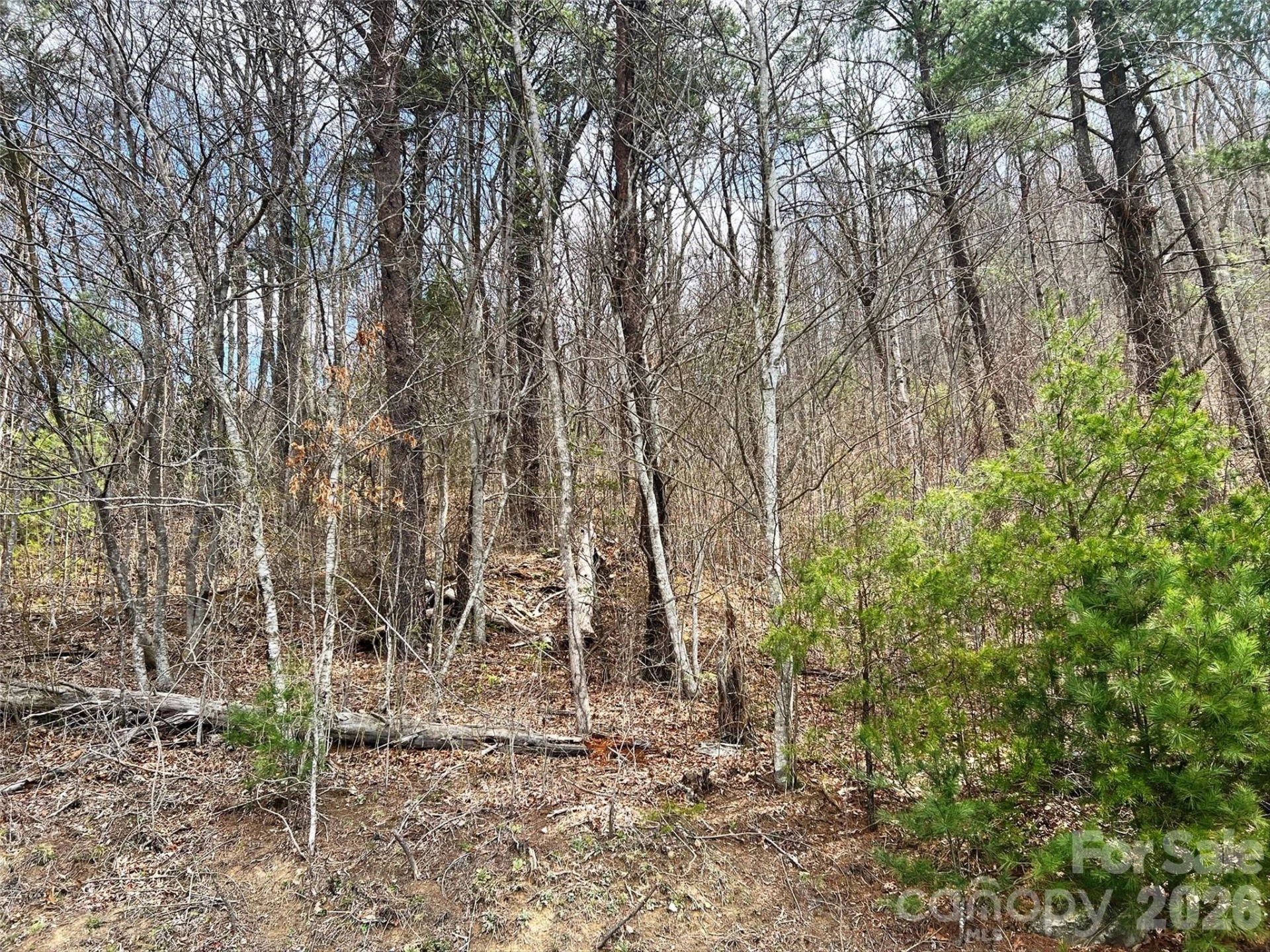 TBD Moonbeam Lane #101,102 - Photo 16