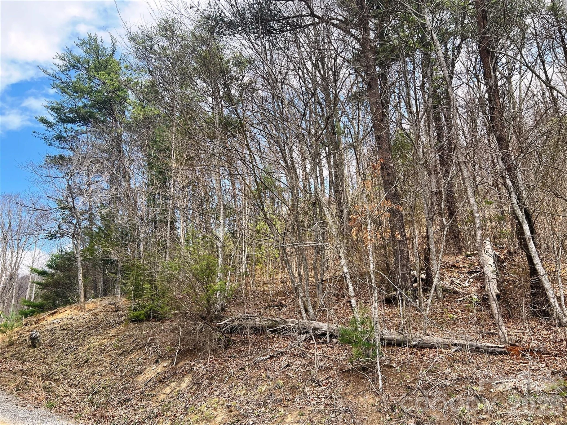 TBD Moonbeam Lane #101,102 - Photo 17