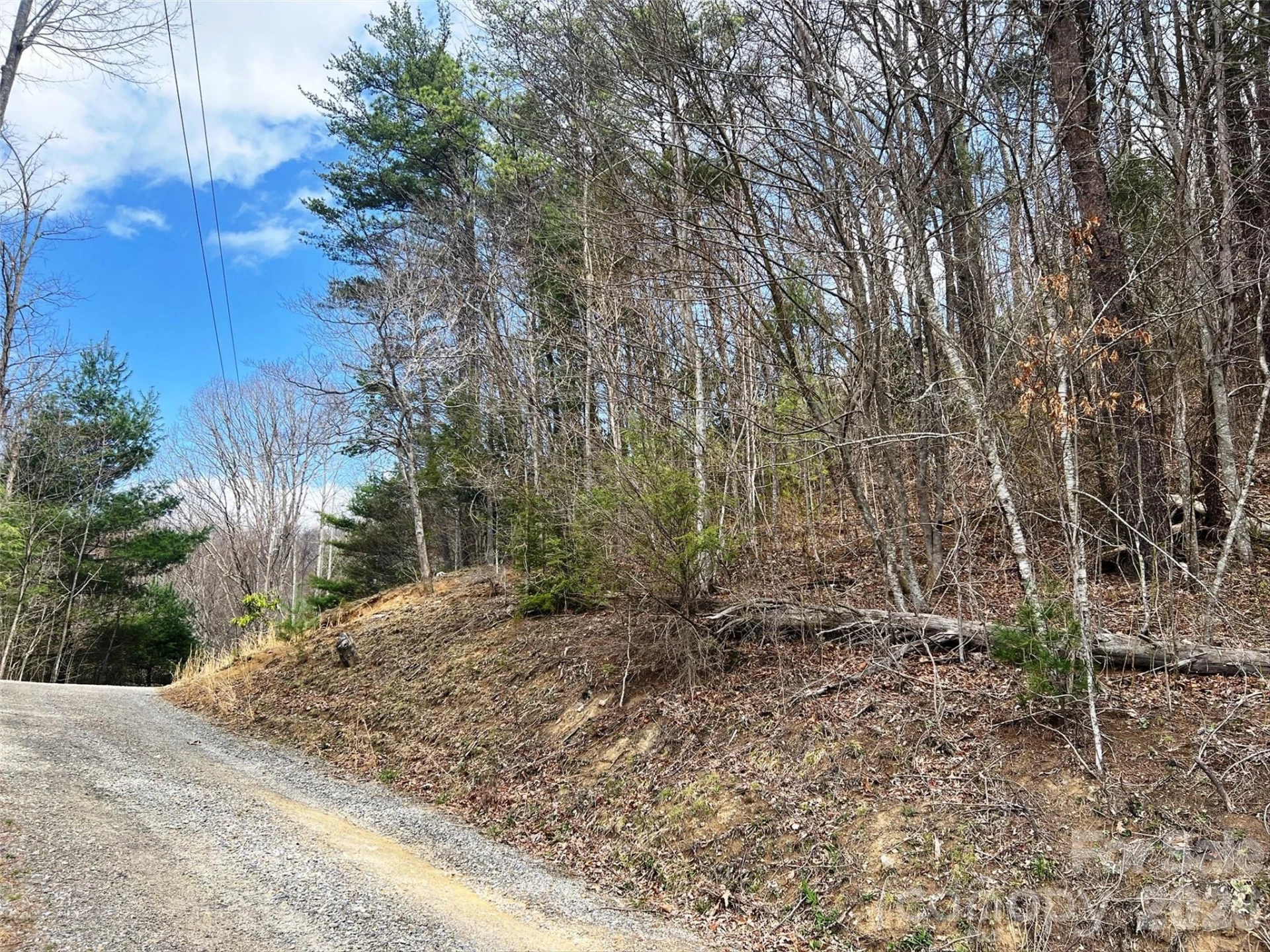 TBD Moonbeam Lane #101,102 - Photo 18