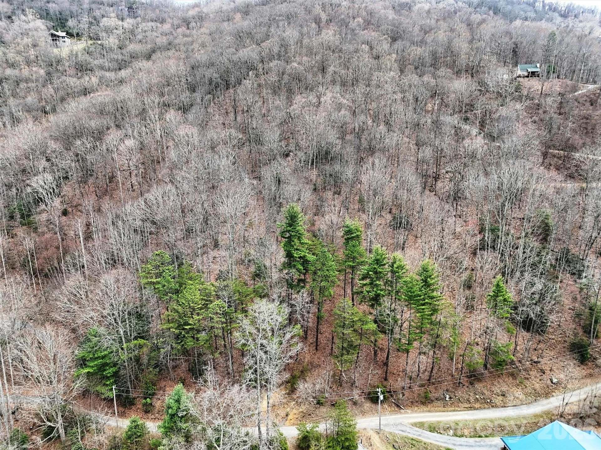 TBD Moonbeam Lane #101,102 - Photo 8