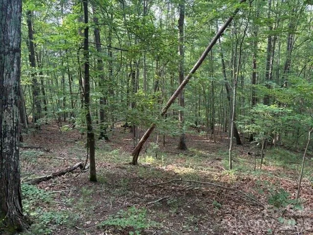 00 Cardinal Circle, Tryon, NC, 28782
