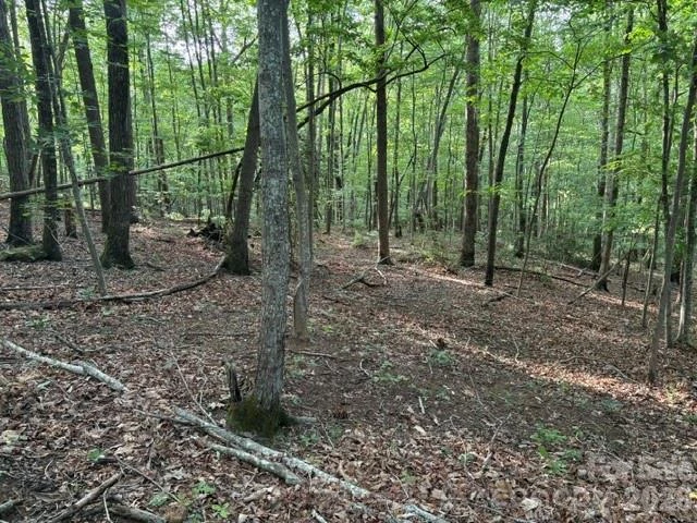 00 Cardinal Circle - Photo 2